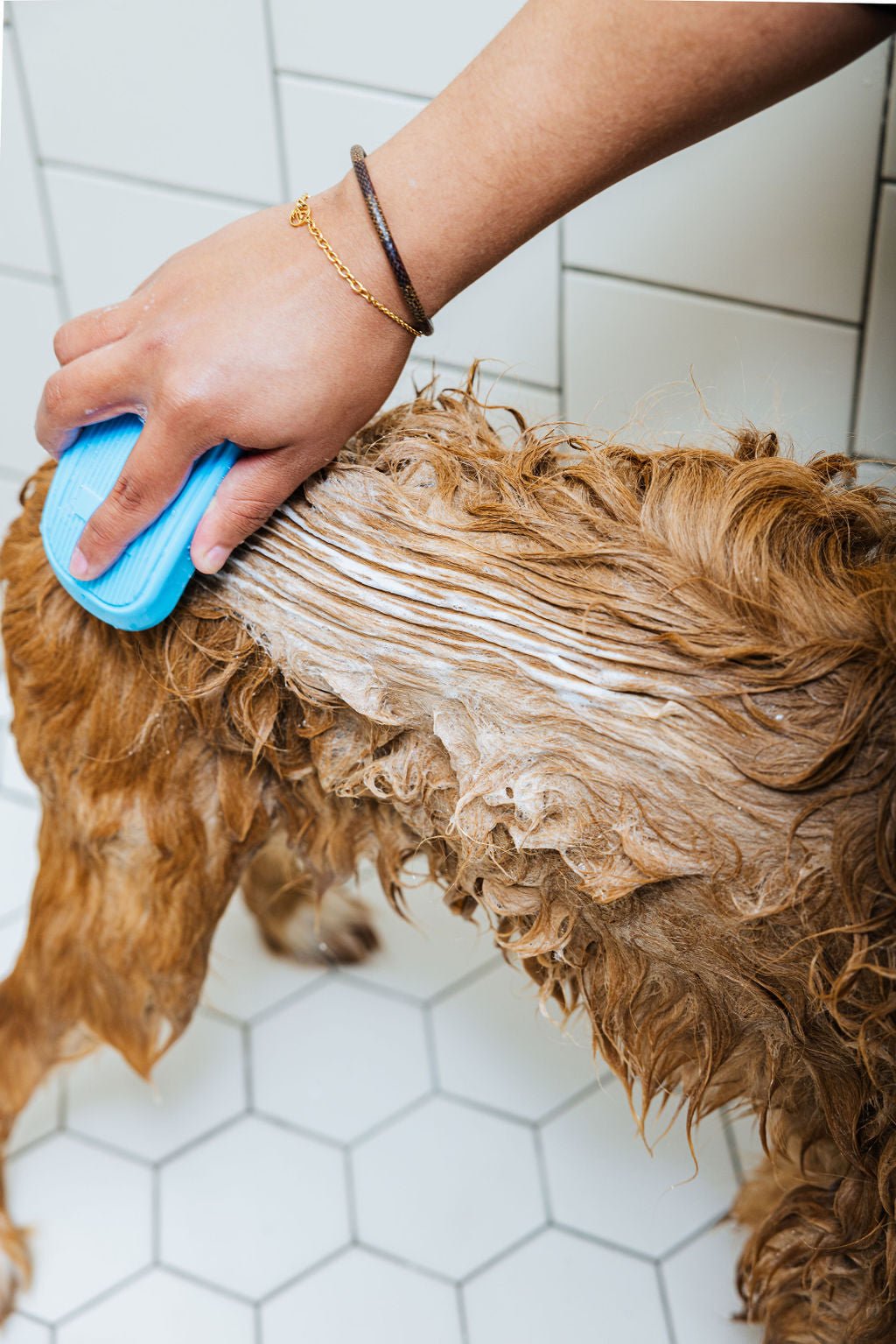 Spritz (Dog Shampoo & Conditioner Duo) Pet Shampoo & Conditioner - Lazy Paper Club