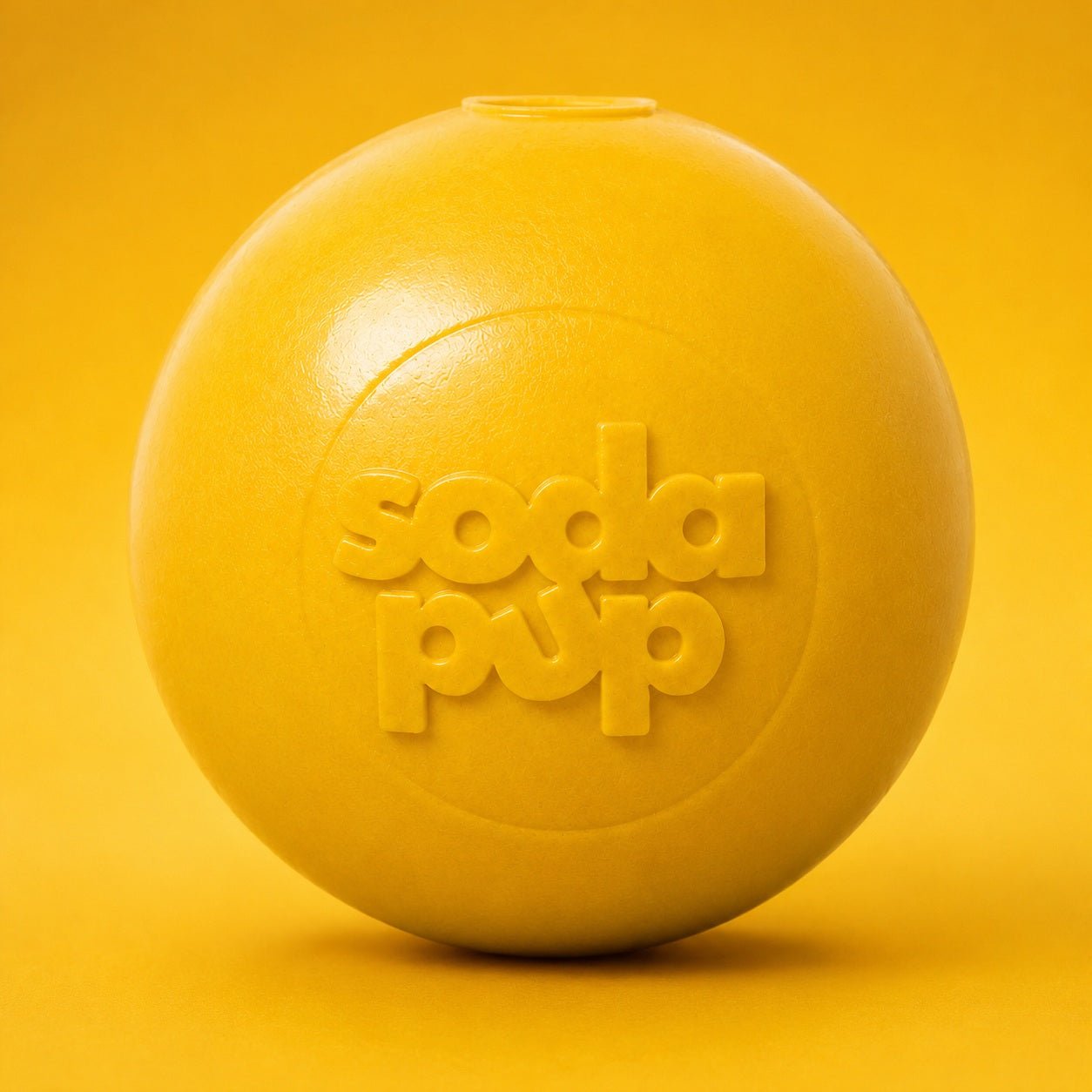 Squeak Ball - Durable Squeaky Dog Toy, Floats, Chew Toy | USA Made Rubber Dog Toys - Lazy Paper Club