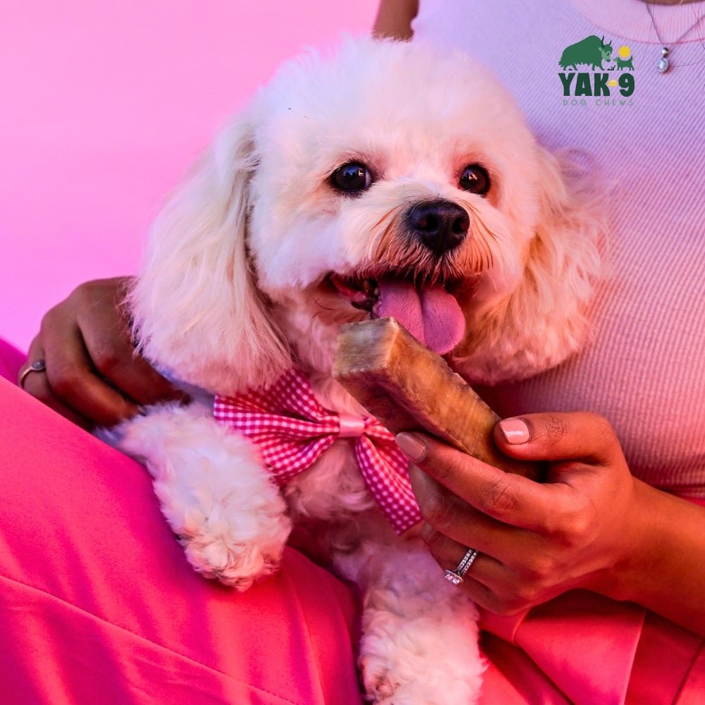 Strawberry Cheese Chews for Dogs STRAWBERRY YAK CHEESE CHEWS - Lazy Paper Club