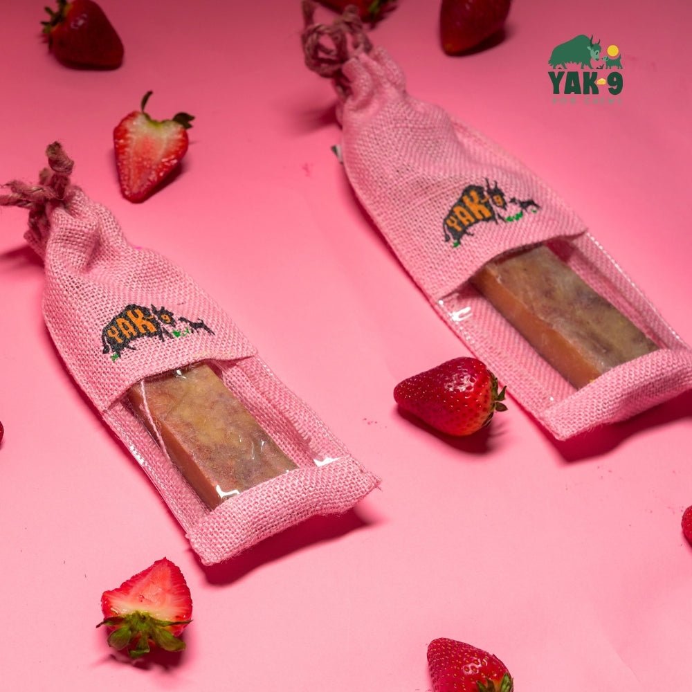 Strawberry Cheese Chews for Dogs STRAWBERRY YAK CHEESE CHEWS - Lazy Paper Club