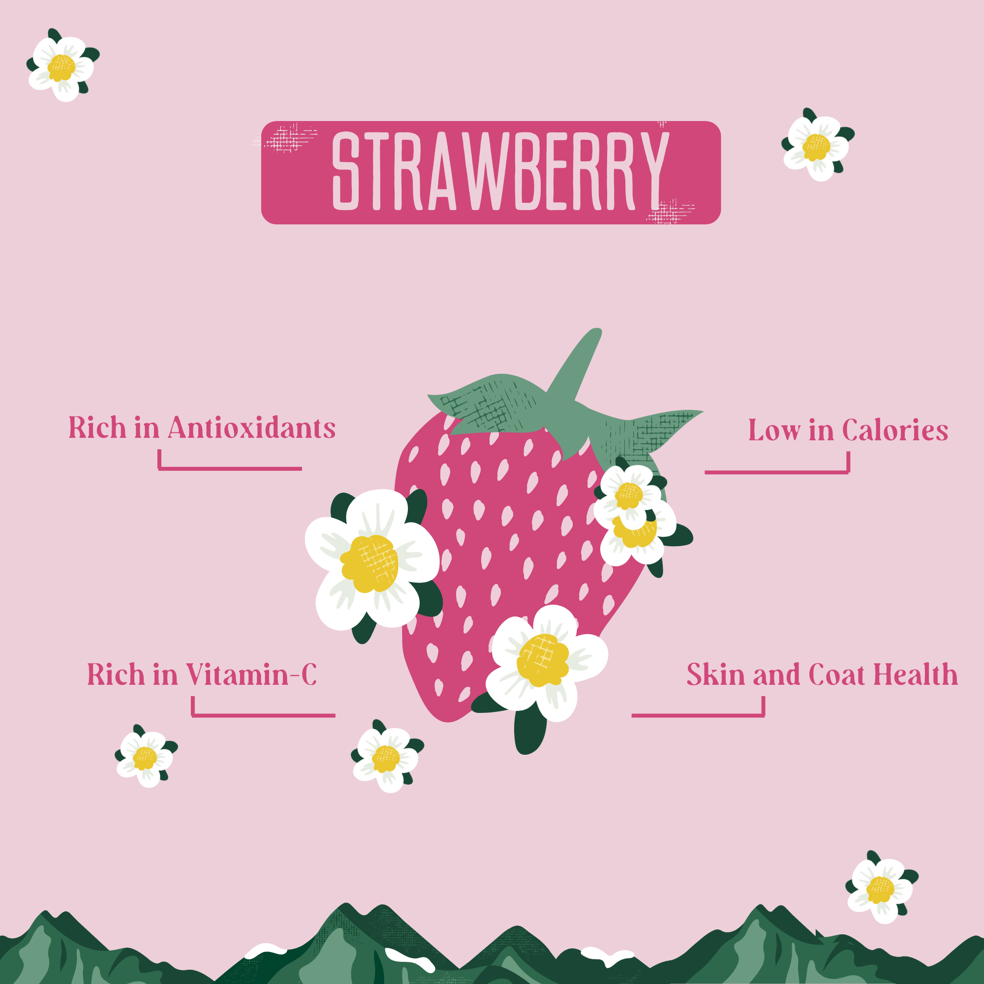 Strawberry Cheese Chews for Dogs STRAWBERRY YAK CHEESE CHEWS - Lazy Paper Club