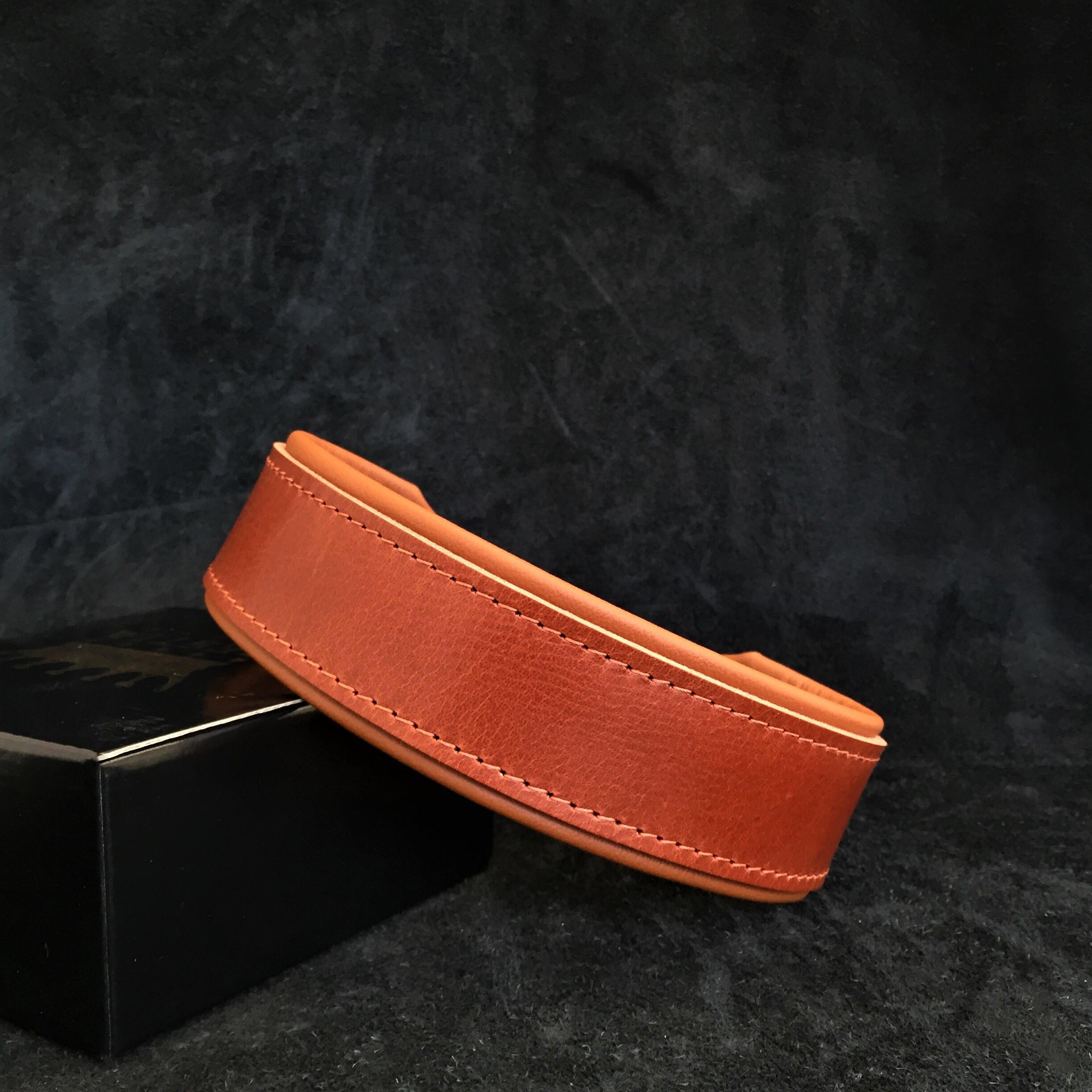 "Stylish" 2 inch wide dog collar Collars - Lazy Paper Club