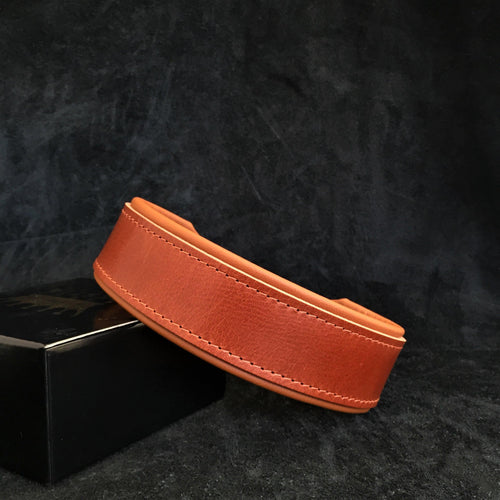 "Stylish" 2 inch wide dog collar Collars - Lazy Paper Club