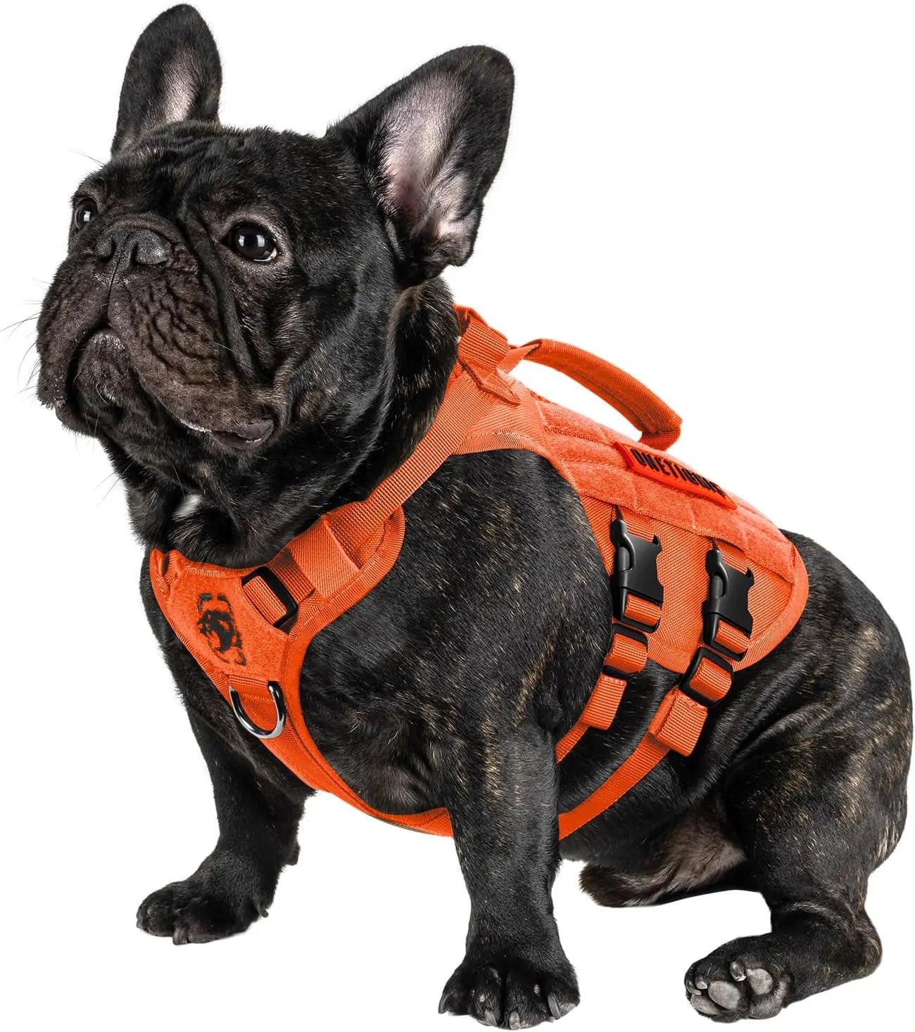 Tactical No-Pull Dog Harness – Mesh Military Vest with Handles for S -XL Dogs - Lazy Paper Club