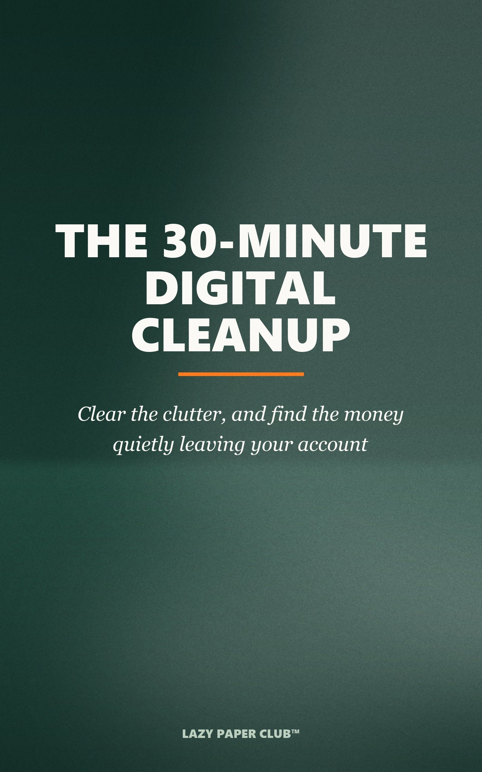 The 30-Minute Digital Cleanup — book cover