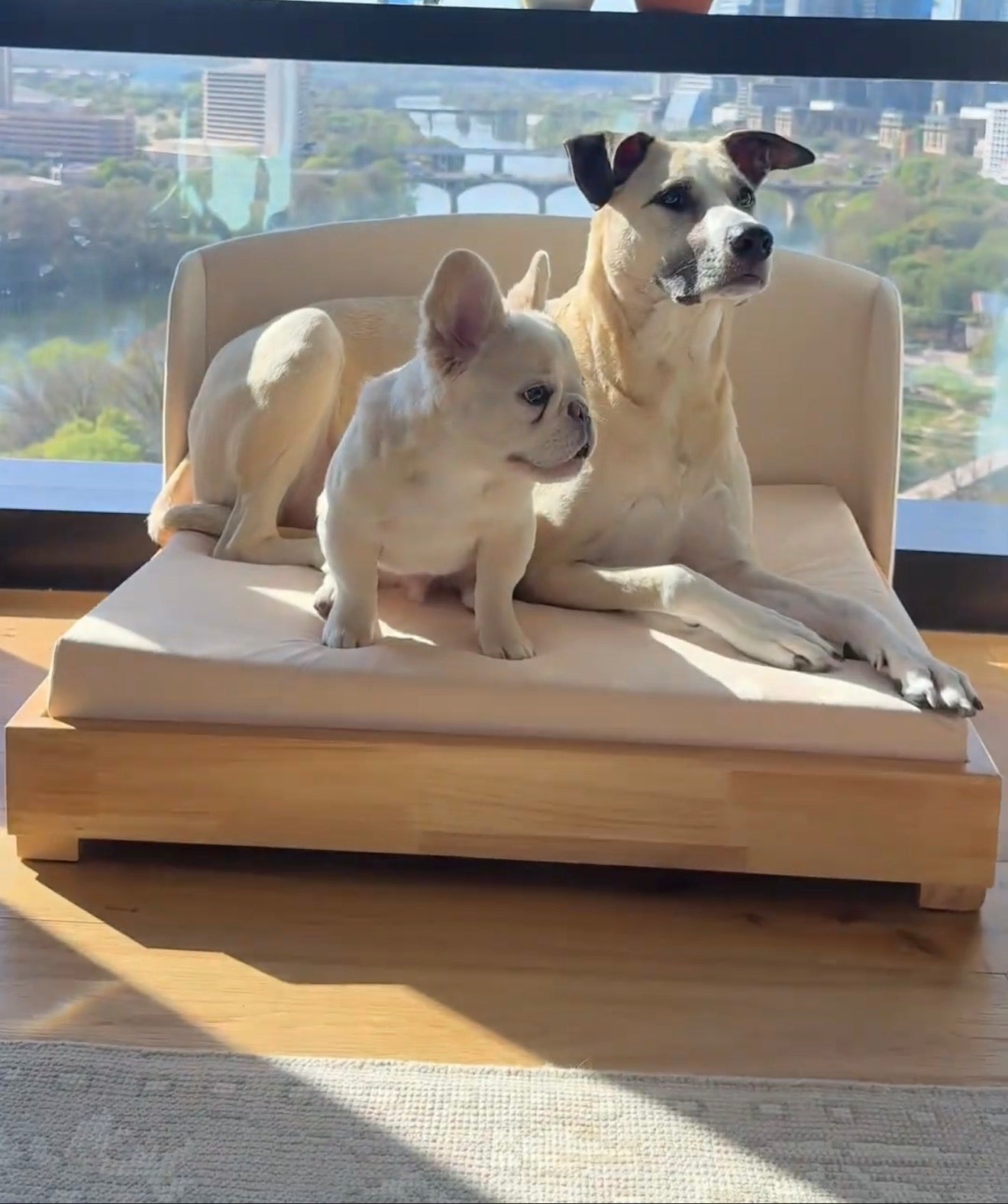 The Haven — Luxury Handcrafted Dog Bed | Solid Wood, Orthopedic, Waterproof lined Dog Bed - Lazy Paper Club