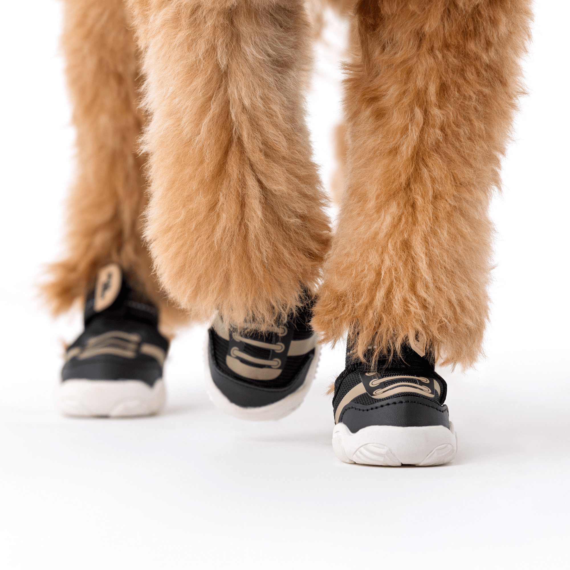 The Kai- Dog Sneaker - Lazy Paper Club