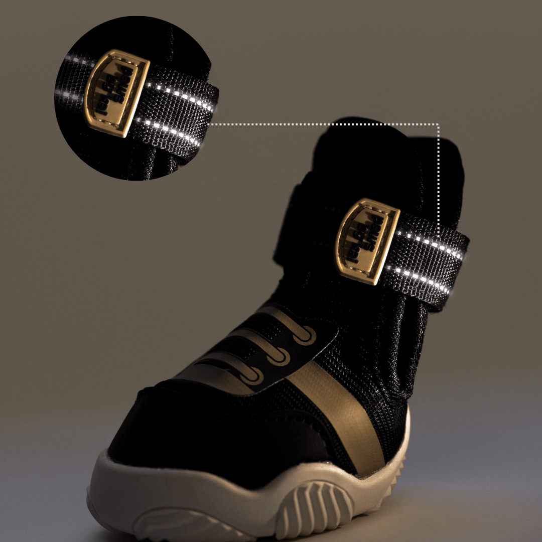 The Kai- Dog Sneaker - Lazy Paper Club