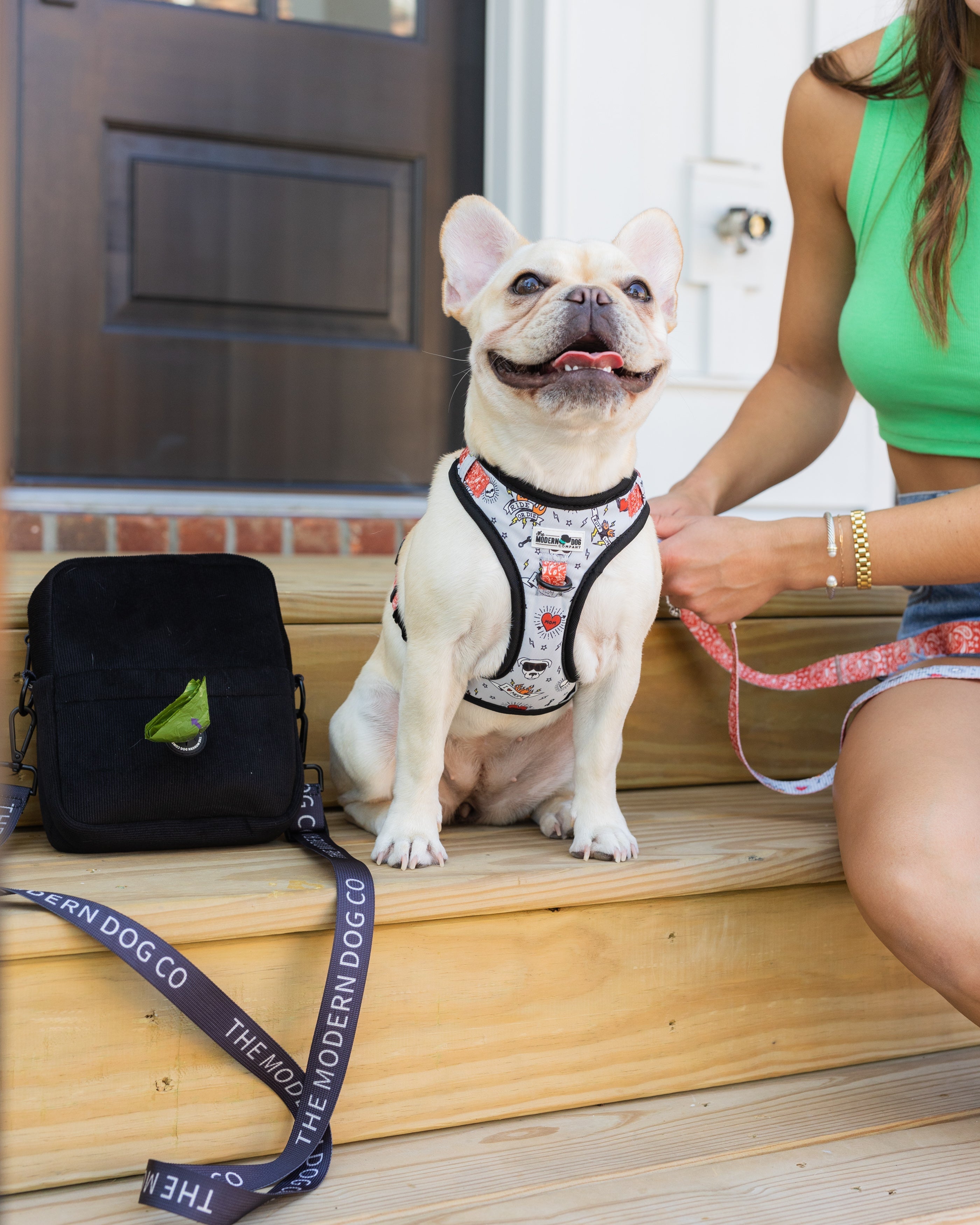 The Modern Dog Company - Bad to the Bone Harness - Lazy Paper Club