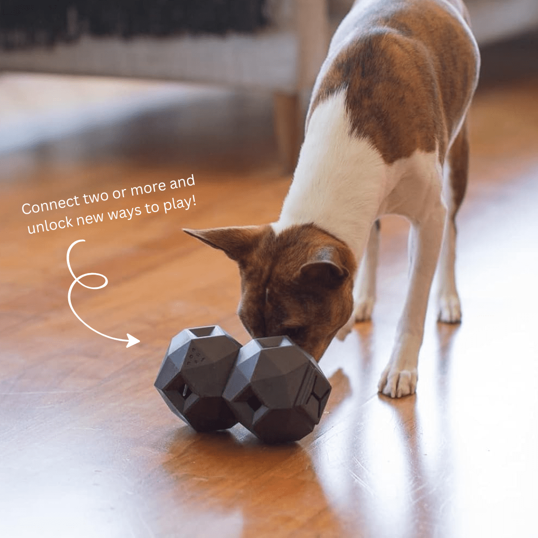 The Odin Treat Dispensing Toy For Dogs Dog Toys - Lazy Paper Club