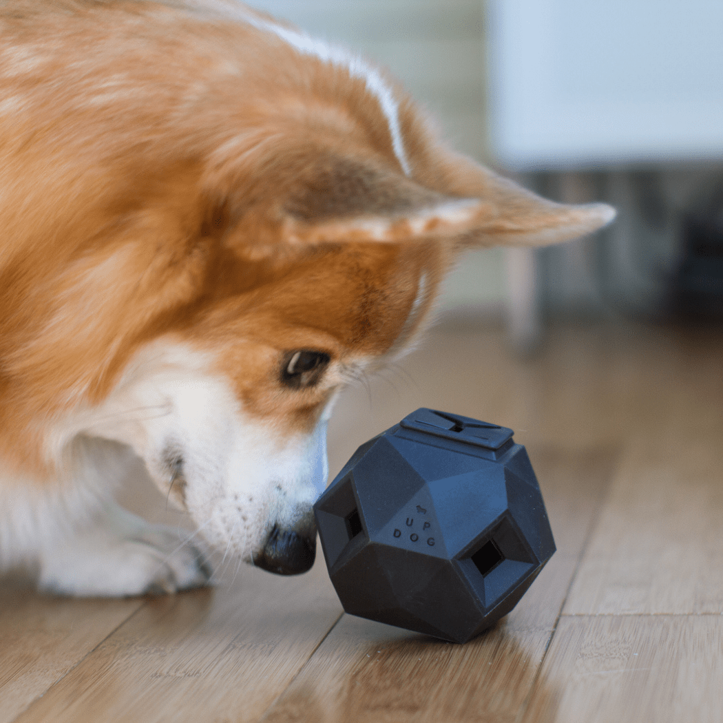 The Odin Treat Dispensing Toy For Dogs Dog Toys - Lazy Paper Club