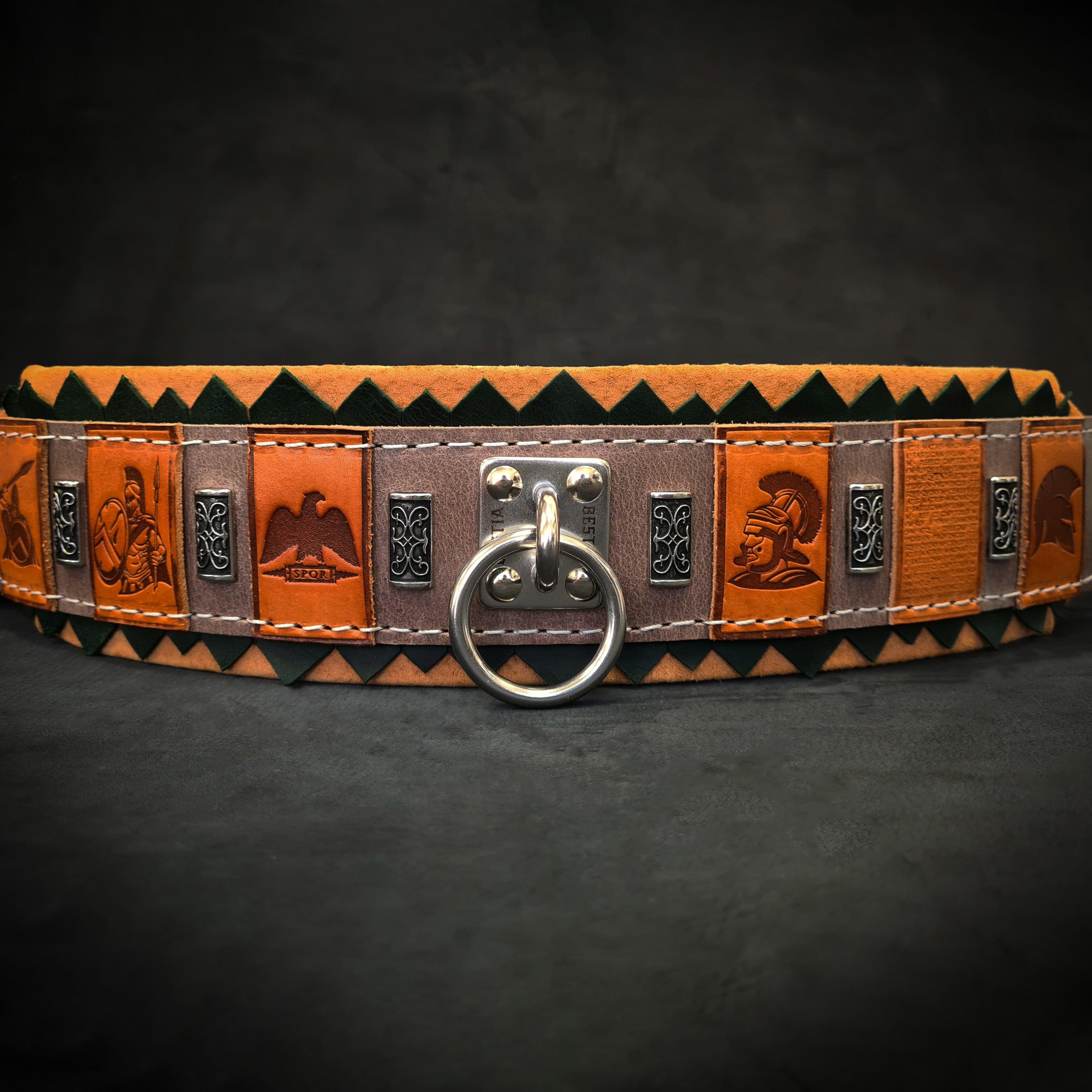 The ''SPQR'' Dog Collar Collars - Lazy Paper Club