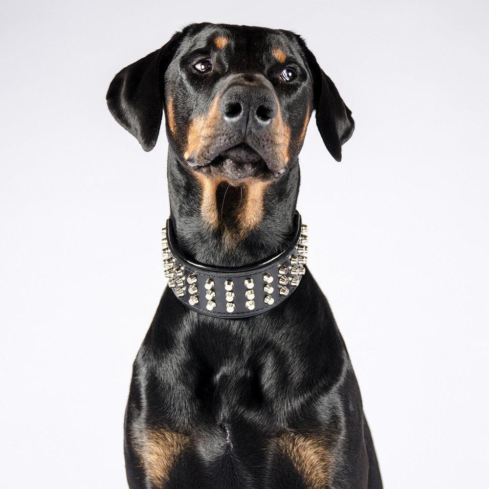 The "Stud" dog collar - Lazy Paper Club