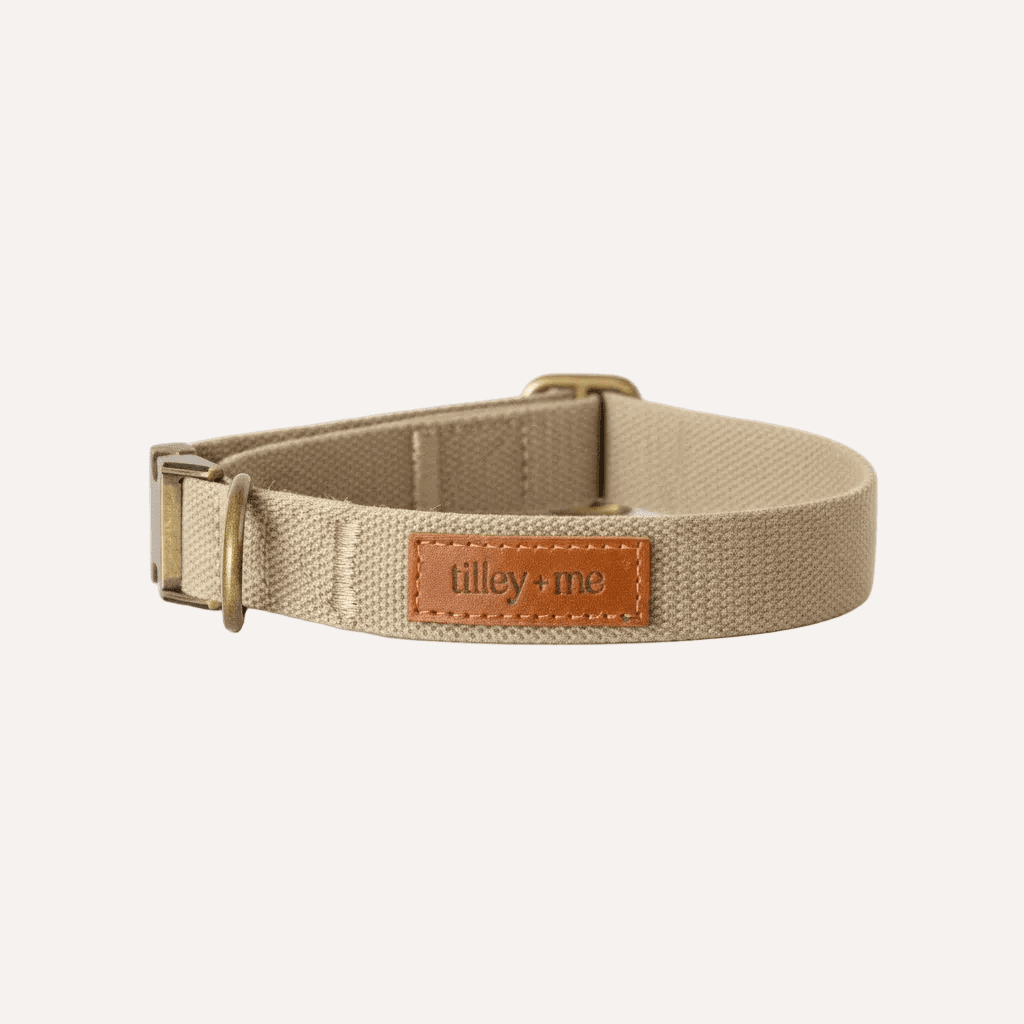 Tilley + Me Hemp Cotton Dog Collar – Durable, Adjustable, Soft – Joshua Tree Collars + Leashes - Lazy Paper Club