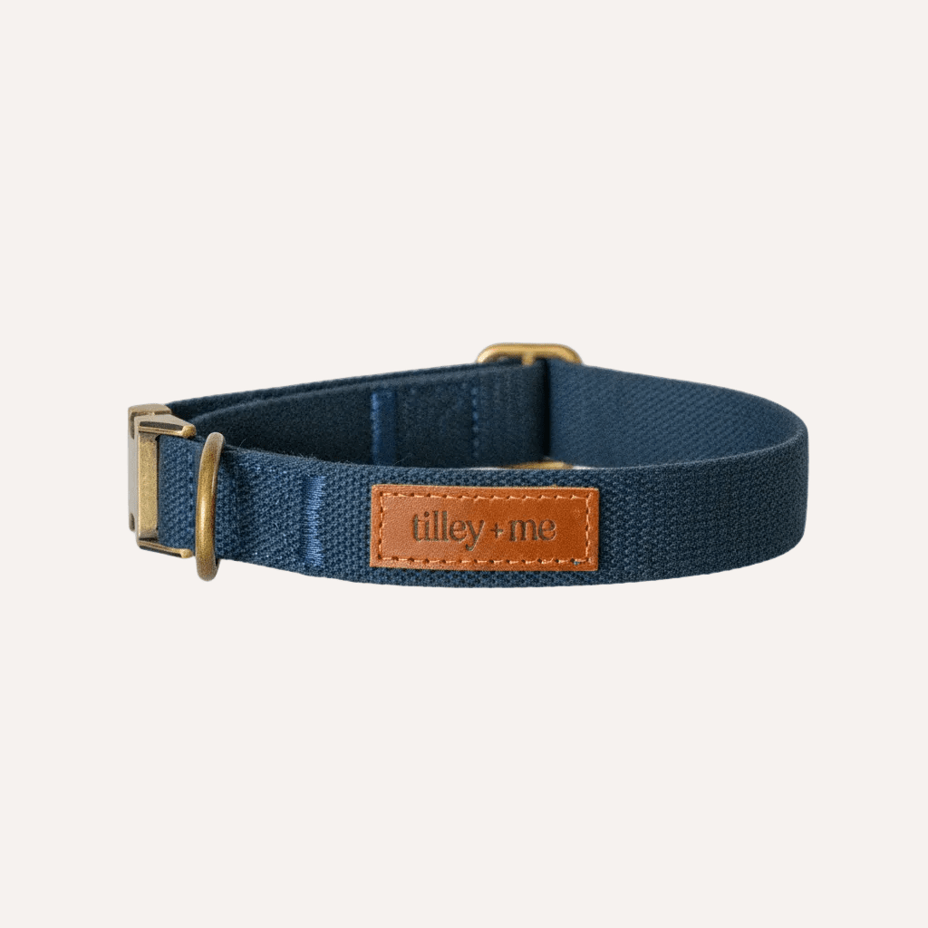 Tilley + Me Hemp Cotton Dog Collar – Durable, Adjustable, Soft – Joshua Tree Collars + Leashes - Lazy Paper Club