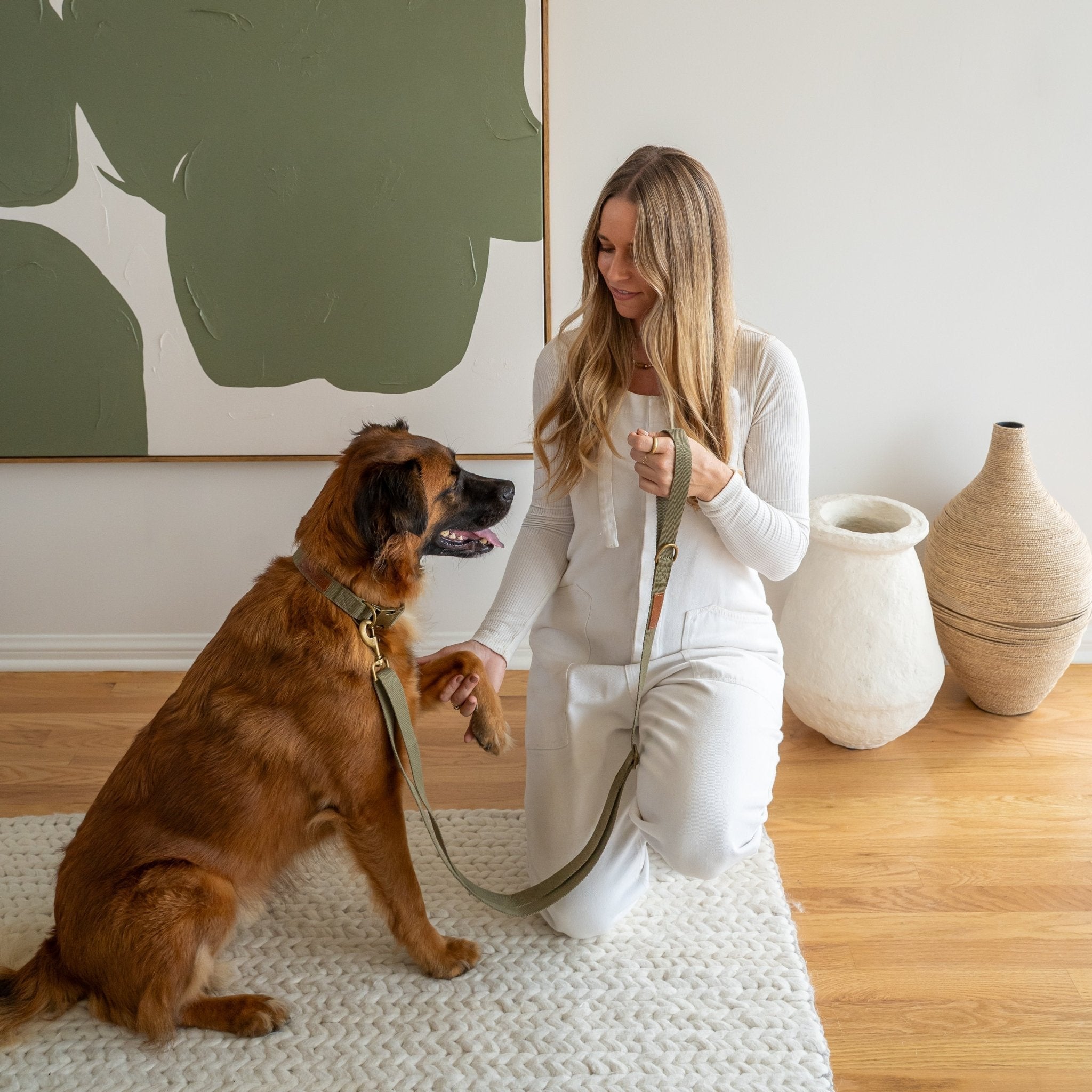 Tilley + Me Hemp Cotton Dog Collar – Durable, Adjustable, Soft – Joshua Tree Collars + Leashes - Lazy Paper Club
