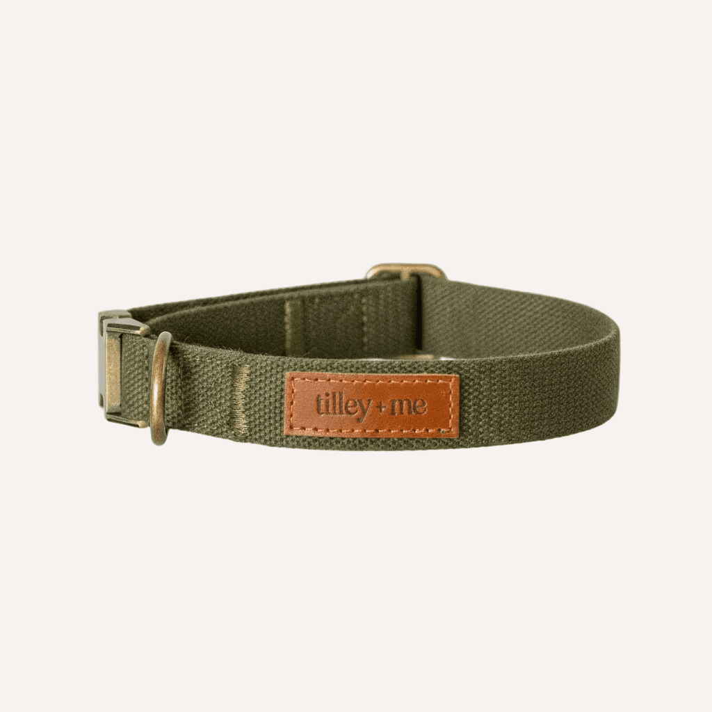 Tilley + Me Hemp Cotton Dog Collar – Durable, Adjustable, Soft – Joshua Tree Collars + Leashes - Lazy Paper Club