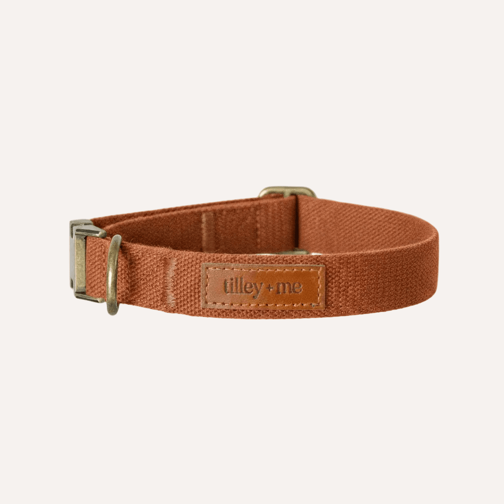 Tilley + Me Hemp Cotton Dog Collar – Durable, Adjustable, Soft – Joshua Tree Collars + Leashes - Lazy Paper Club