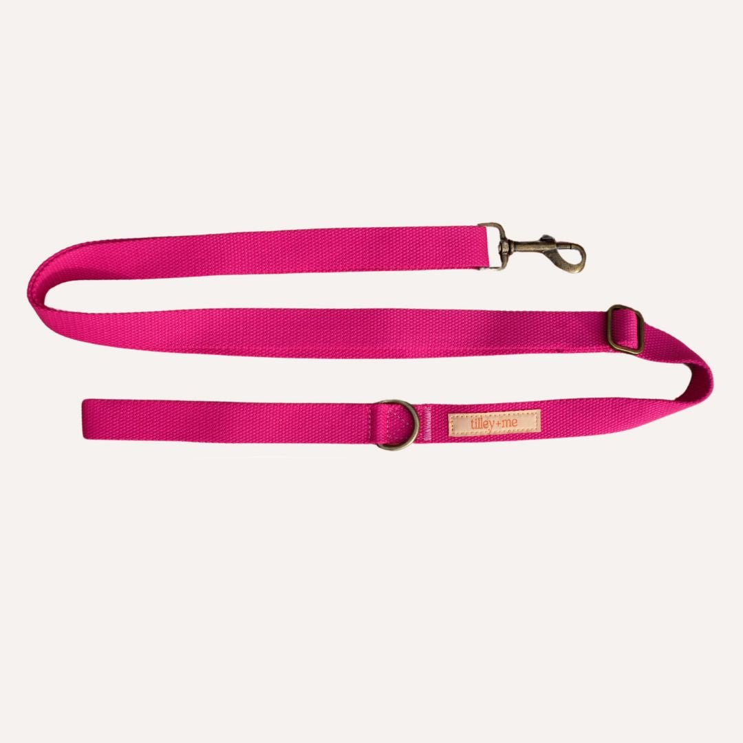 Tilley + Me Hemp Cotton Dog Leash - Durable, Sustainable, Adjustable, Lightweight & Soft-Malibu Collars + Leashes - Lazy Paper Club