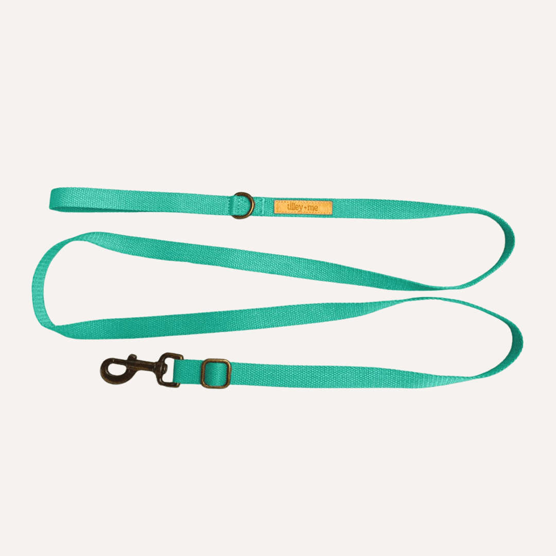 Tilley + Me Hemp Cotton Dog Leash - Durable, Sustainable, Adjustable, Lightweight & Soft-Malibu Collars + Leashes - Lazy Paper Club