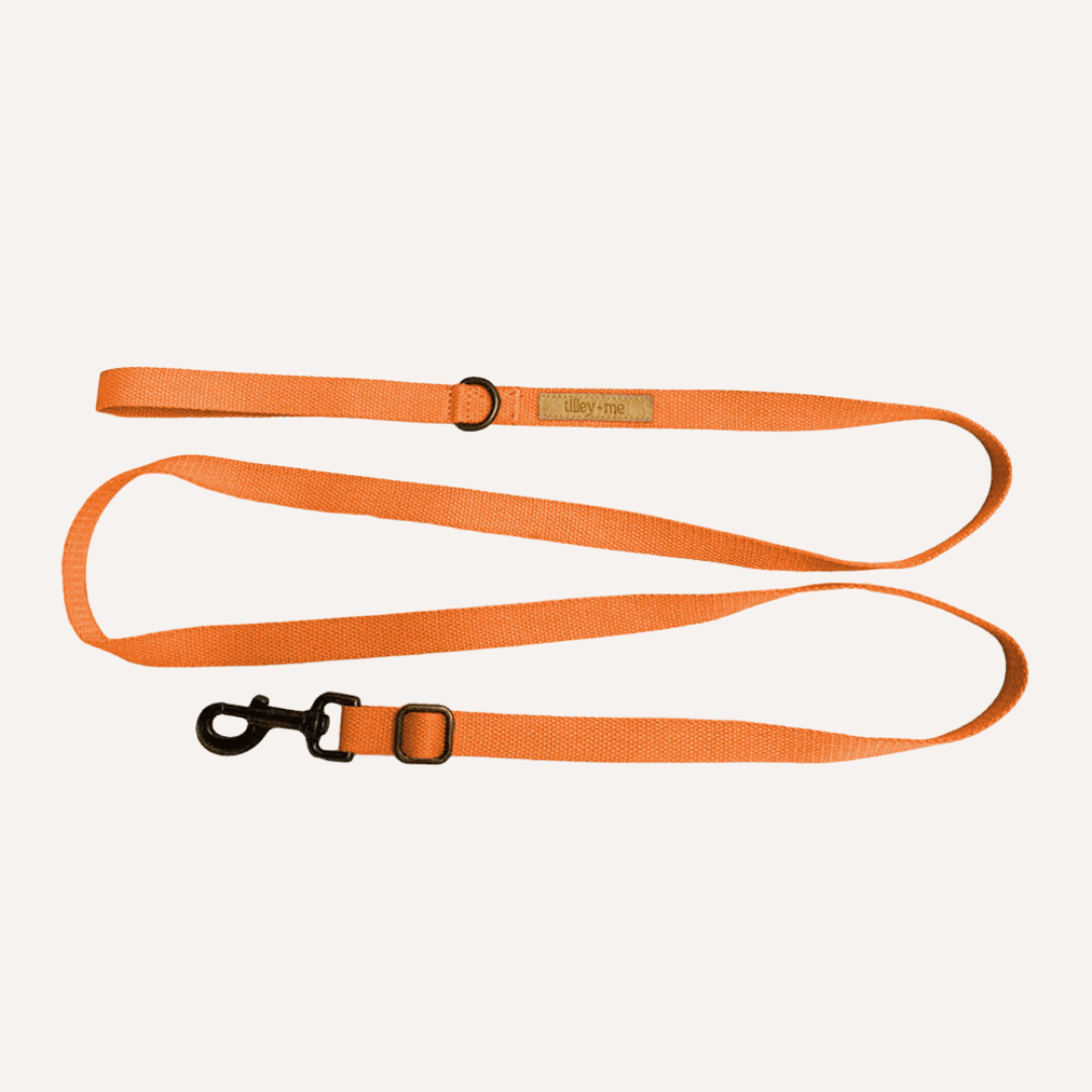 Tilley + Me Hemp Cotton Dog Leash - Durable, Sustainable, Adjustable, Lightweight & Soft-Malibu Collars + Leashes - Lazy Paper Club