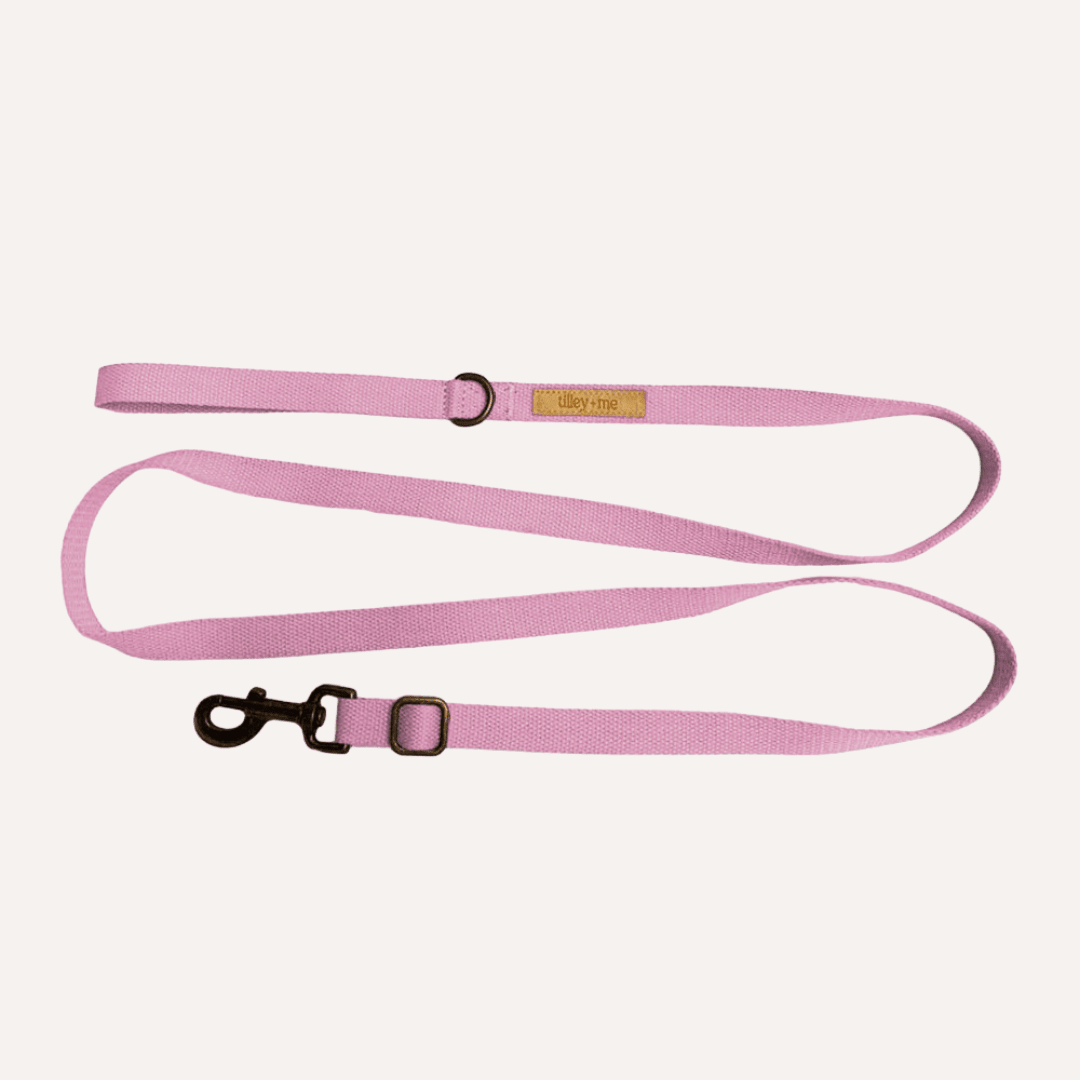 Tilley + Me Hemp Cotton Dog Leash - Durable, Sustainable, Adjustable, Lightweight & Soft-Malibu Collars + Leashes - Lazy Paper Club