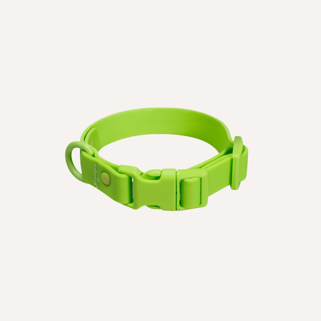 Tilley + Me PVC Dog Collar - All Weather Waterproof Durable & Odor-Resistant Collars + Leashes - Lazy Paper Club