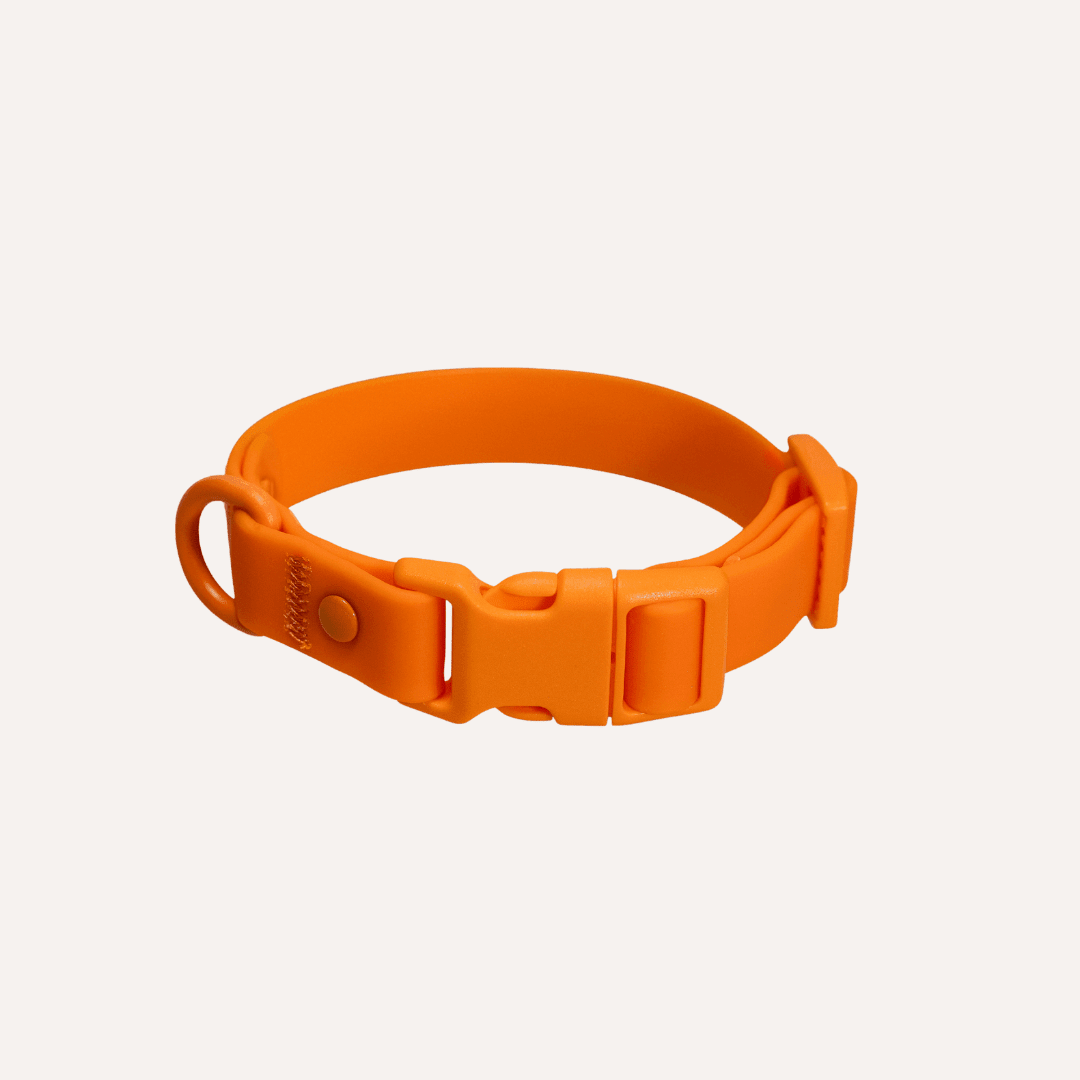 Tilley + Me PVC Dog Collar - All Weather Waterproof Durable & Odor-Resistant Collars + Leashes - Lazy Paper Club