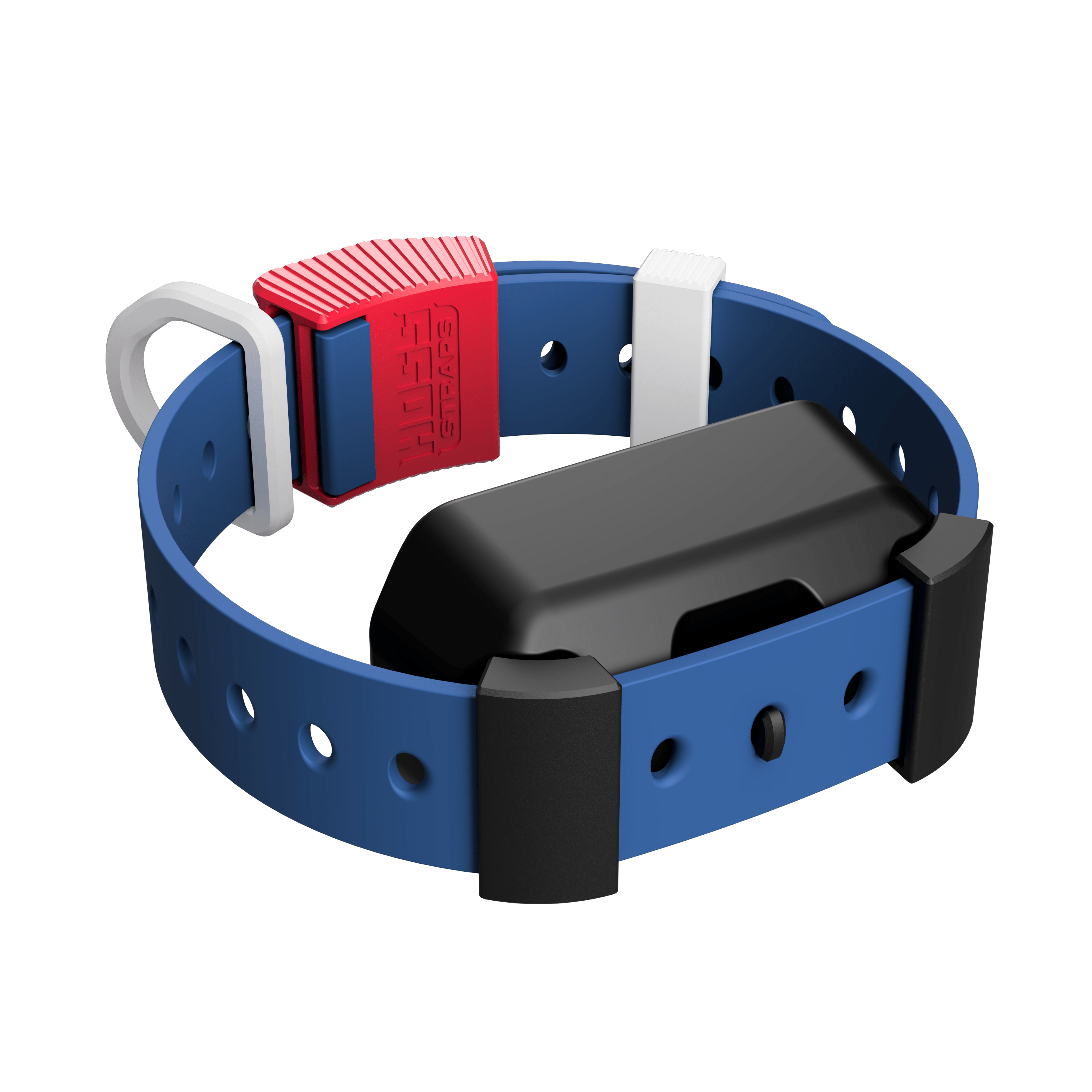 Training Collar Setup Hoss Straps™ - Lazy Paper Club