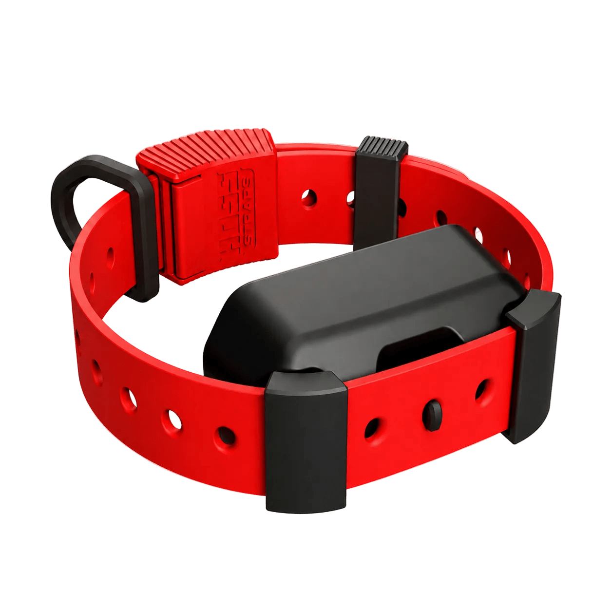 Training Collar Setup Hoss Straps™ - Lazy Paper Club
