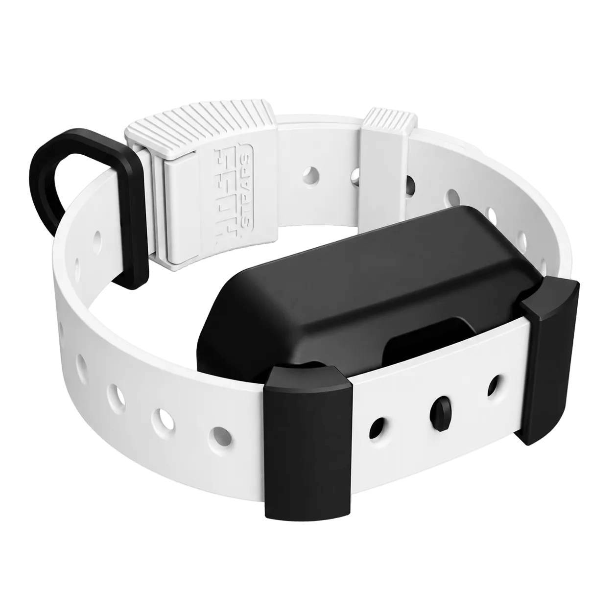 Training Collar Setup Hoss Straps™ - Lazy Paper Club