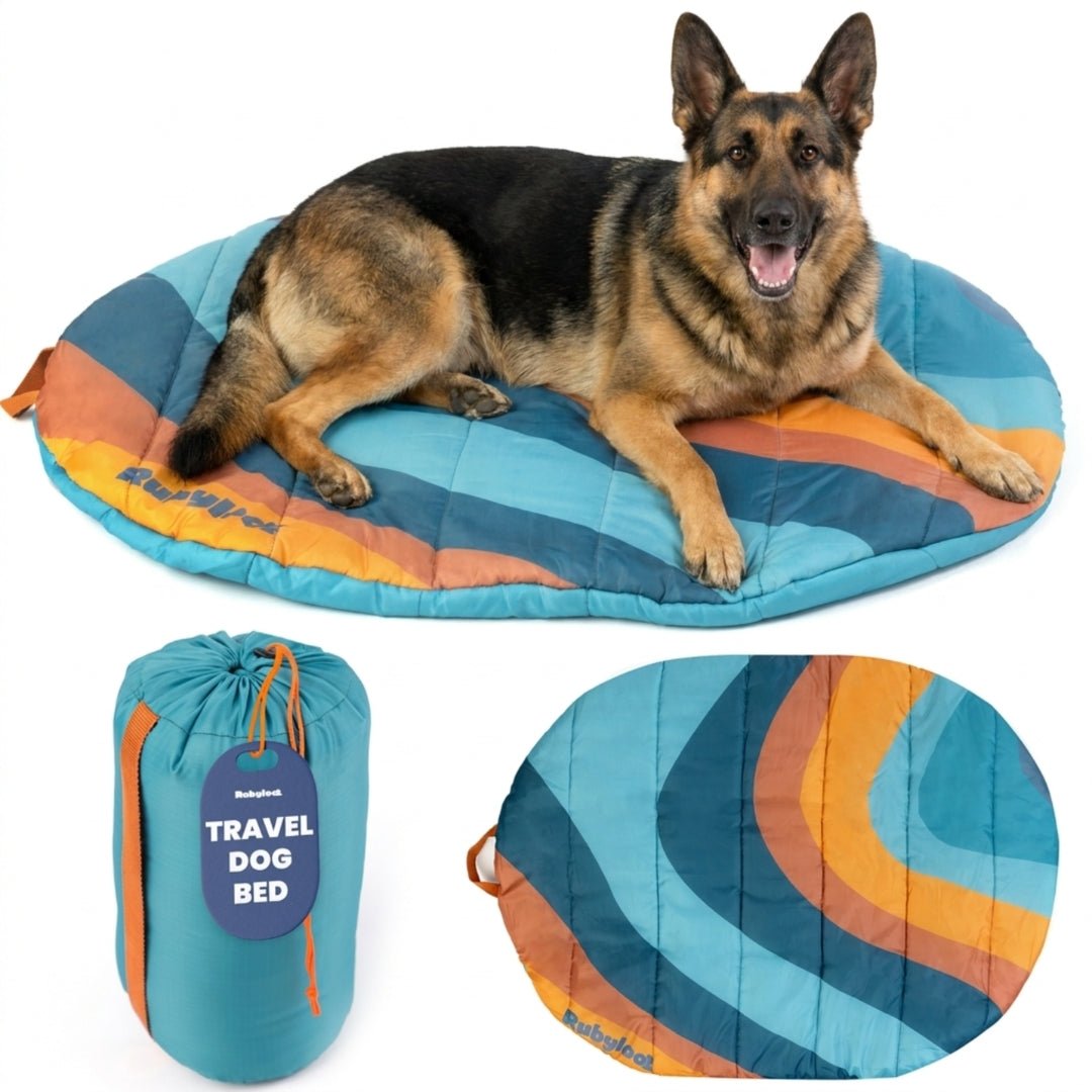 Travel Dog Bed - Foldable & Packable for Travel, Road Trip, Camping Travel Dog Bed - Lazy Paper Club