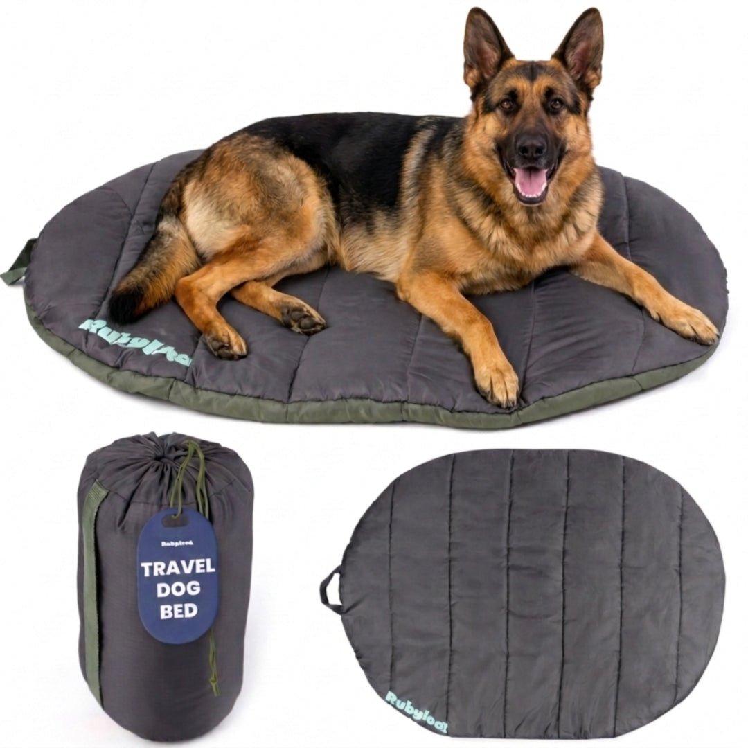 Travel Dog Bed - Foldable & Packable for Travel, Road Trip, Camping Travel Dog Bed - Lazy Paper Club