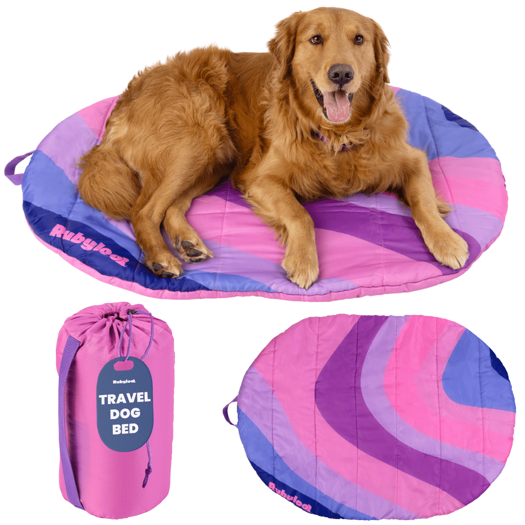 Travel Dog Bed - Foldable & Packable for Travel, Road Trip, Camping Travel Dog Bed - Lazy Paper Club