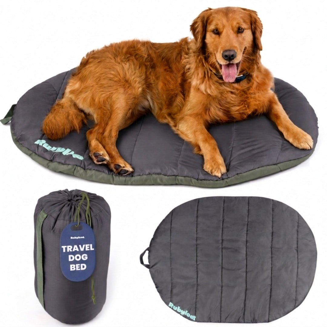 Travel Dog Bed - Foldable & Packable for Travel, Road Trip, Camping Travel Dog Bed - Lazy Paper Club