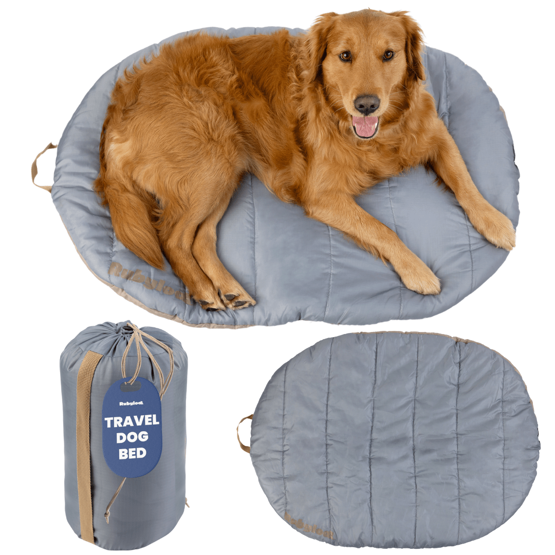 Travel Dog Bed - Foldable & Packable for Travel, Road Trip, Camping Travel Dog Bed - Lazy Paper Club