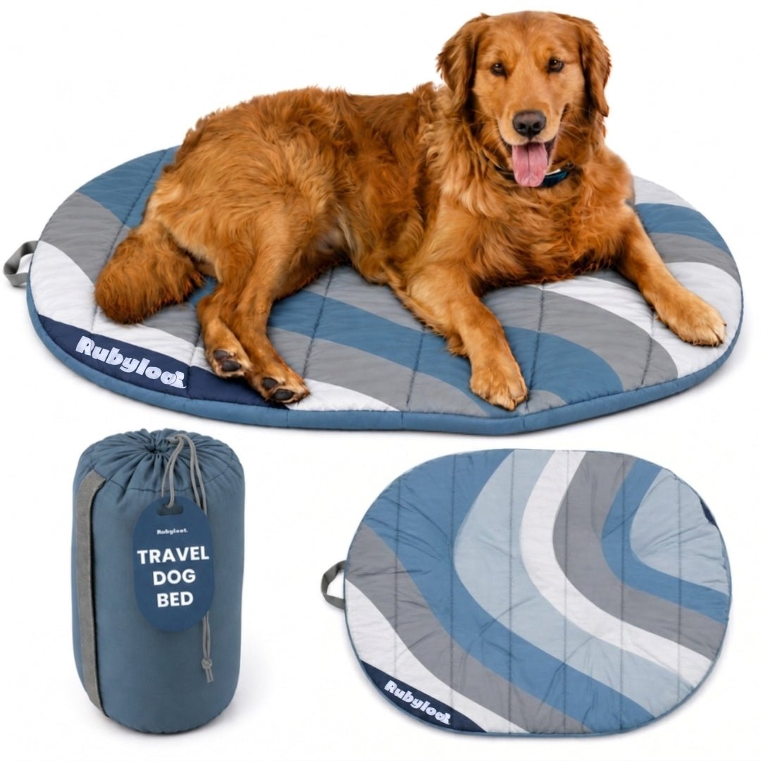 Travel Dog Bed - Foldable & Packable for Travel, Road Trip, Camping Travel Dog Bed - Lazy Paper Club