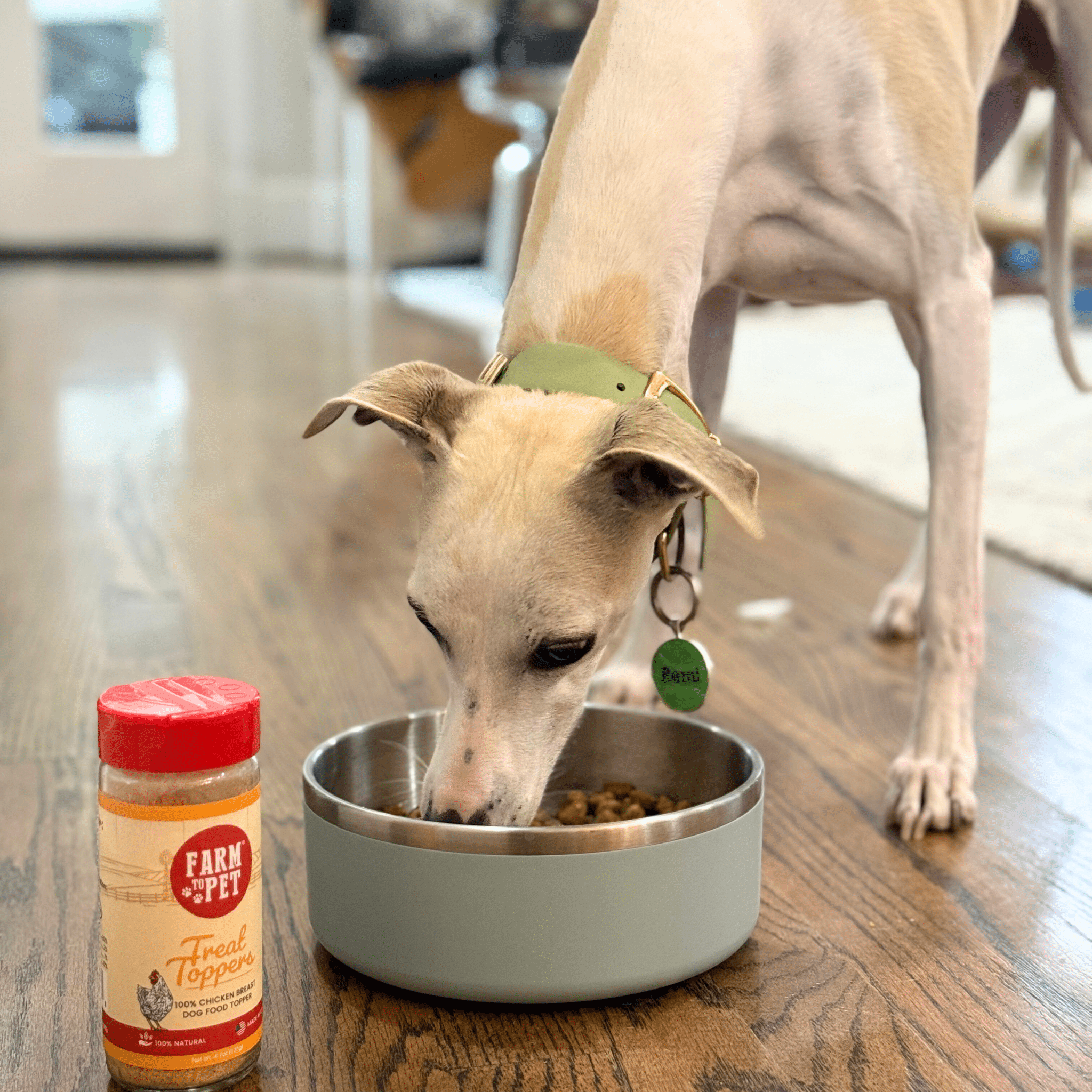 Treat Topper Chicken Dog Food Topper | Healthy Meal Supplement for Dogs Topper - Lazy Paper Club