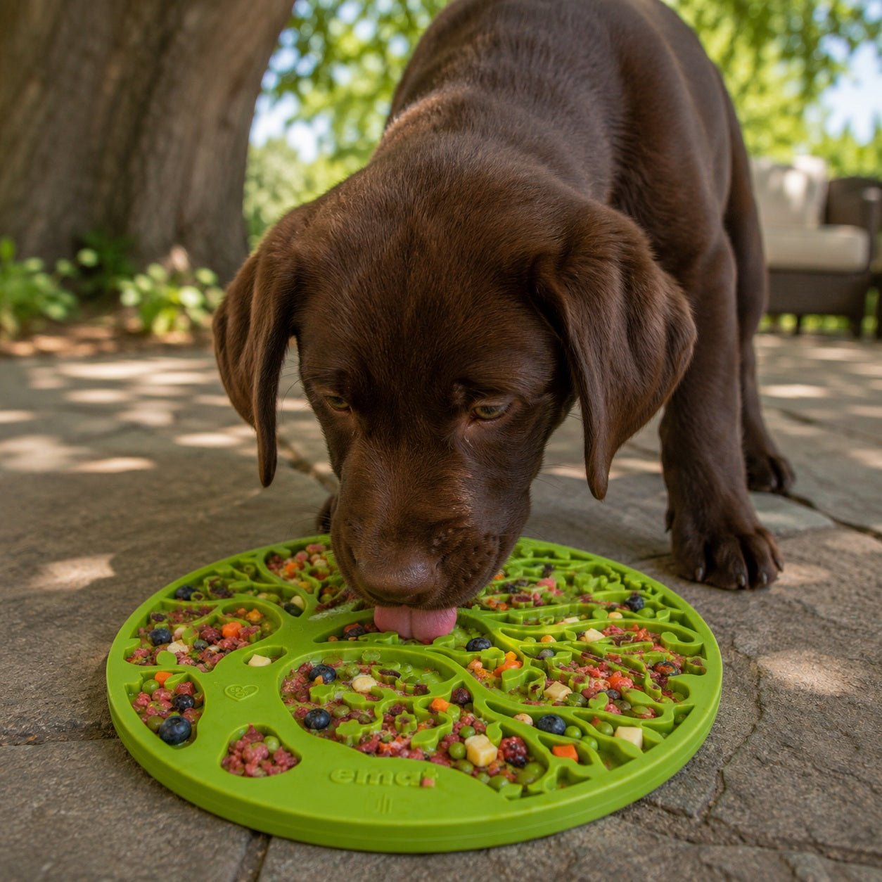 Tree of Life eMat - Enrichment Lick Mat For Dogs and Cats - With Suction Cups | Tree Design | USA Made EMAT - Lazy Paper Club