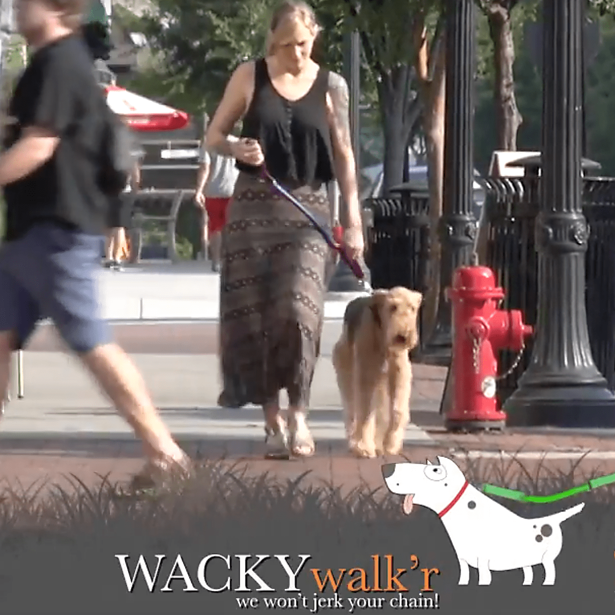 Urban Walk'r - Shorter No Pull Leash - Lazy Paper Club
