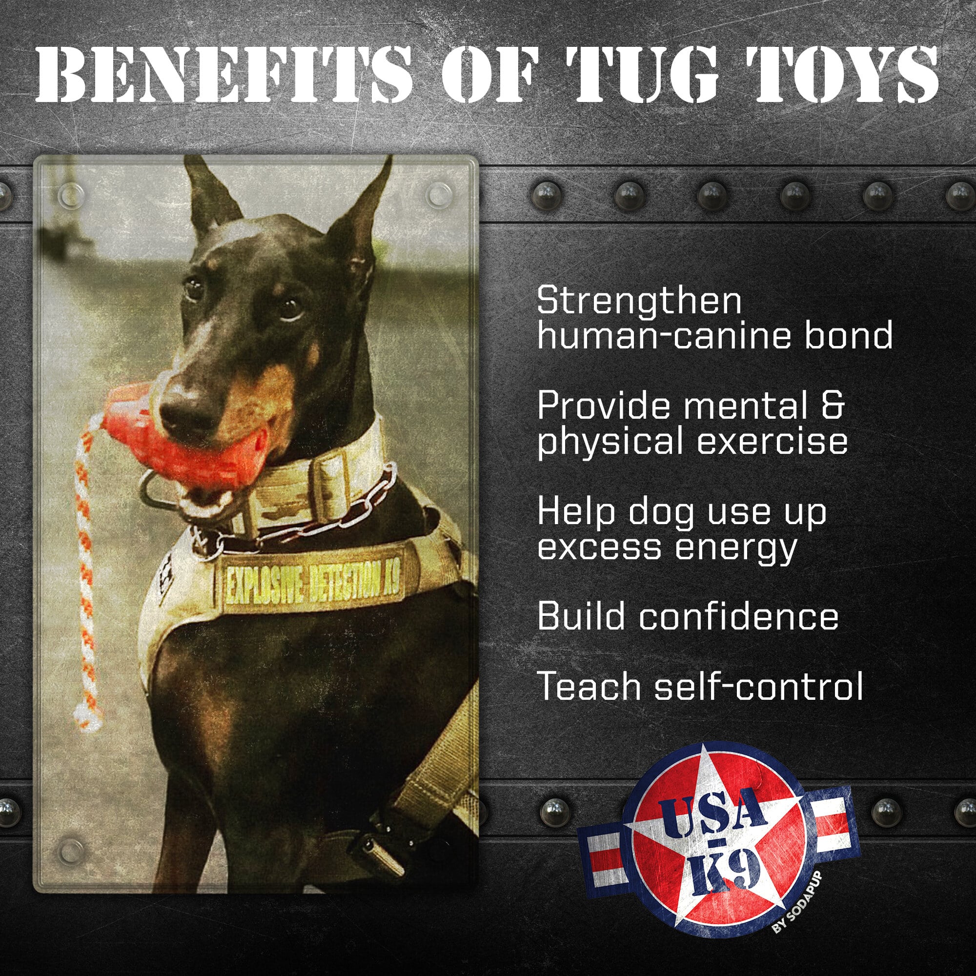 USA-K9 Grenade Rubber Dog Chew Toy | K9 Handler Reward Toy | Blue | USA Made Rubber Dog Toys - Lazy Paper Club