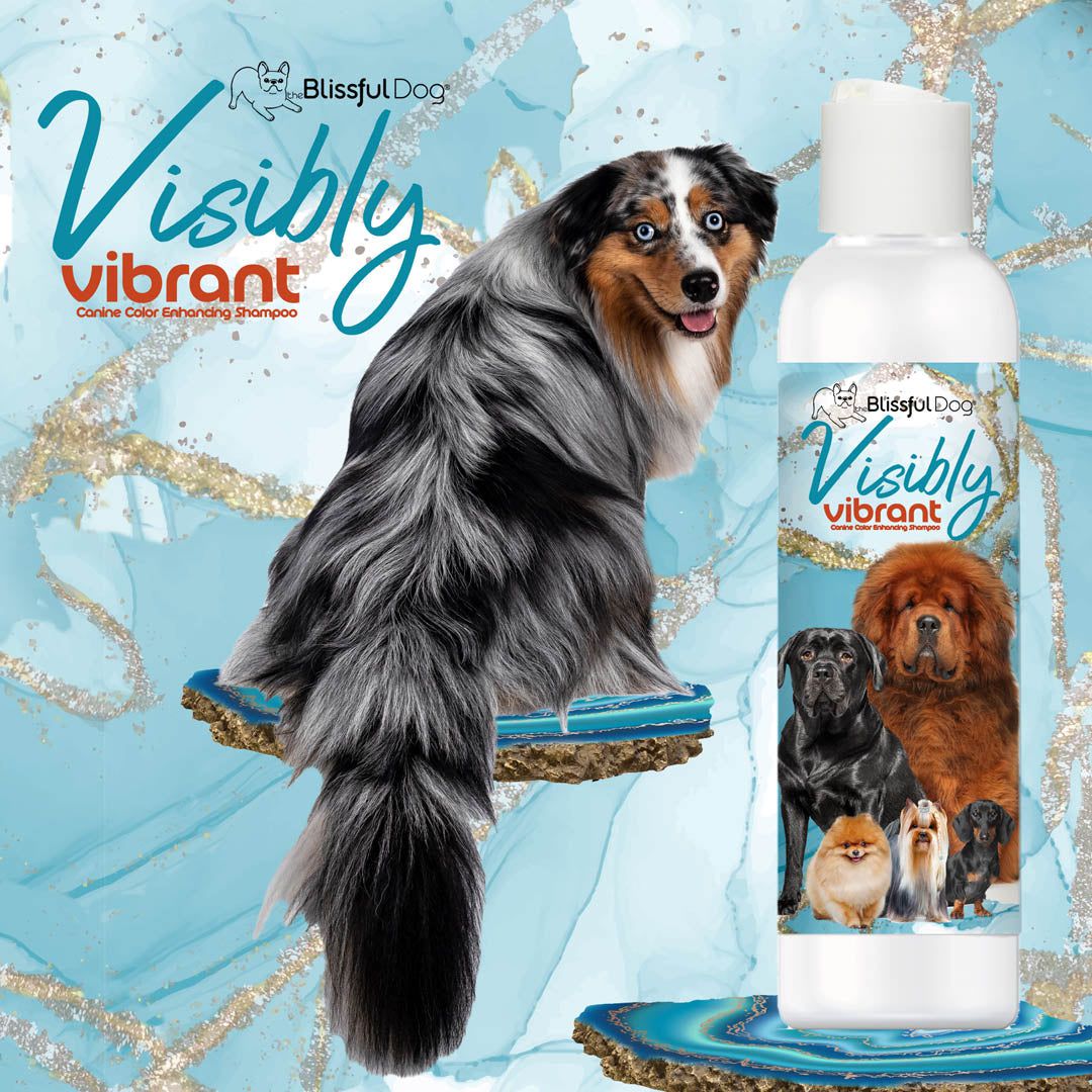 Visibly Vibrant Pet Shampoo SHAMPOO - Lazy Paper Club