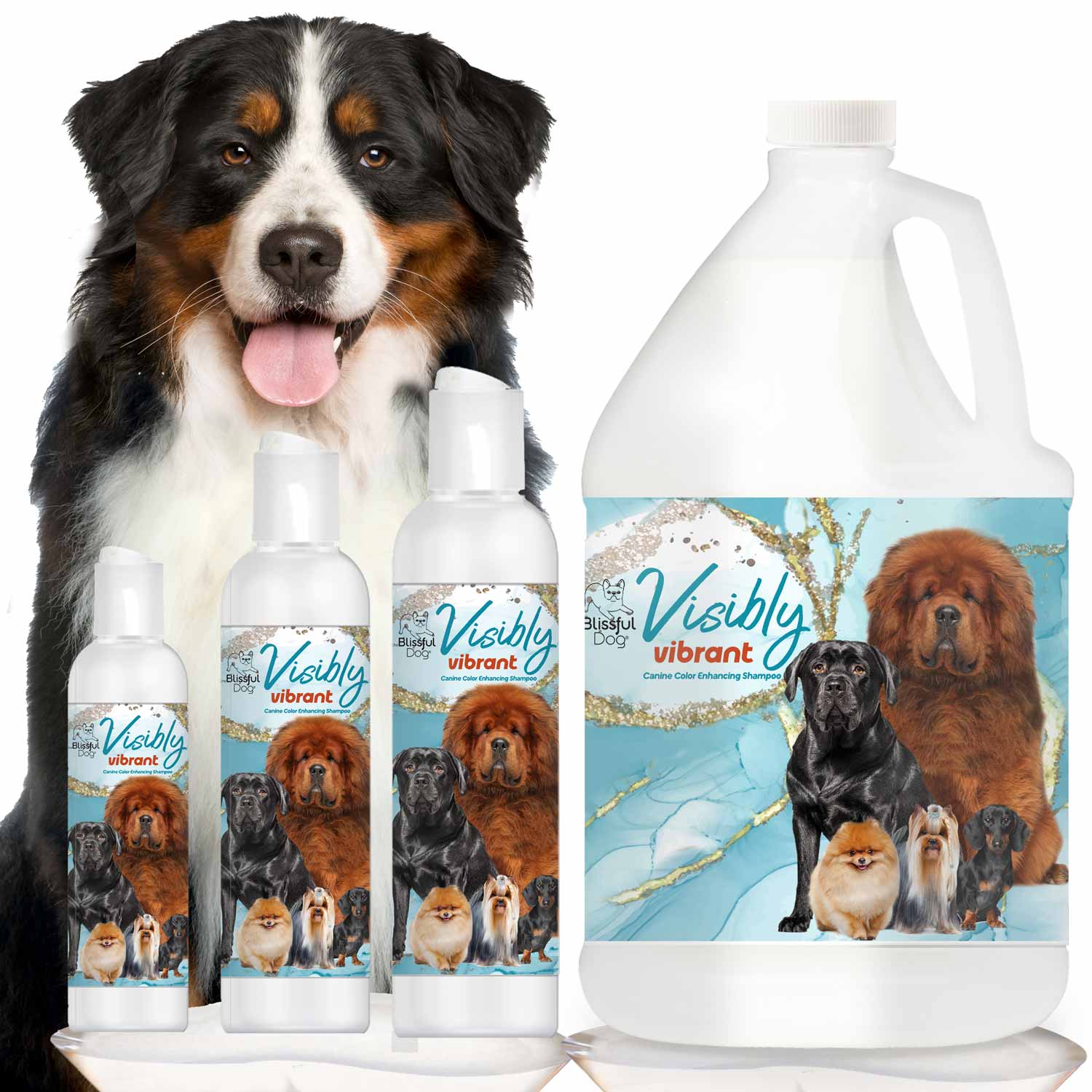 Visibly Vibrant Pet Shampoo SHAMPOO - Lazy Paper Club