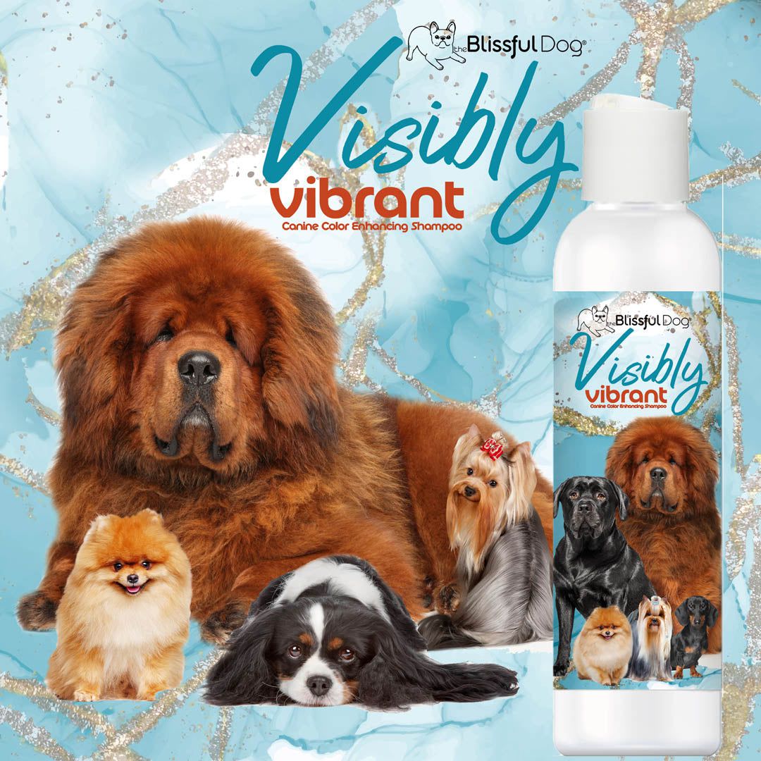 Visibly Vibrant Pet Shampoo SHAMPOO - Lazy Paper Club