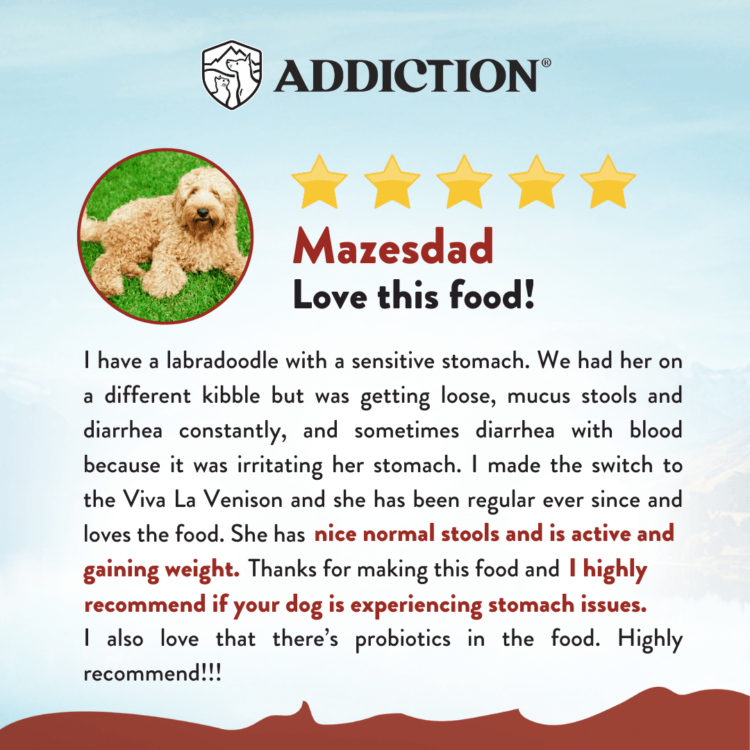 Viva La Venison Dry Dog Food Venison Dry Dog Food - Lazy Paper Club