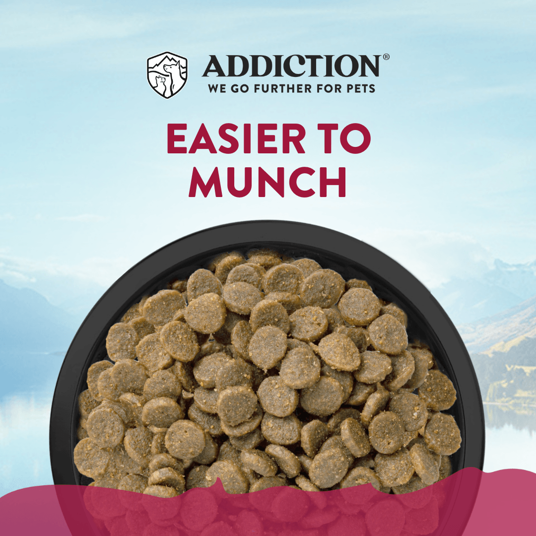 Viva La Venison Grain-free Premium Venison Small Breed Dry Dog Food Venison Dry Dog Food - Lazy Paper Club