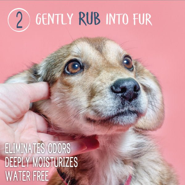 Waterless Dog Shampoo + Conditioner - #Lazy Paper Club#