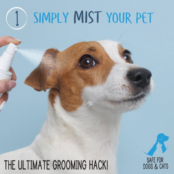 Waterless Dog Shampoo + Conditioner - #Lazy Paper Club#