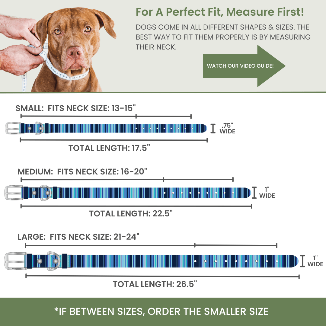 Waterproof Dog Collars – Washable Dog Collar, Stink-Proof & Durable Collar & Leashes - Lazy Paper Club