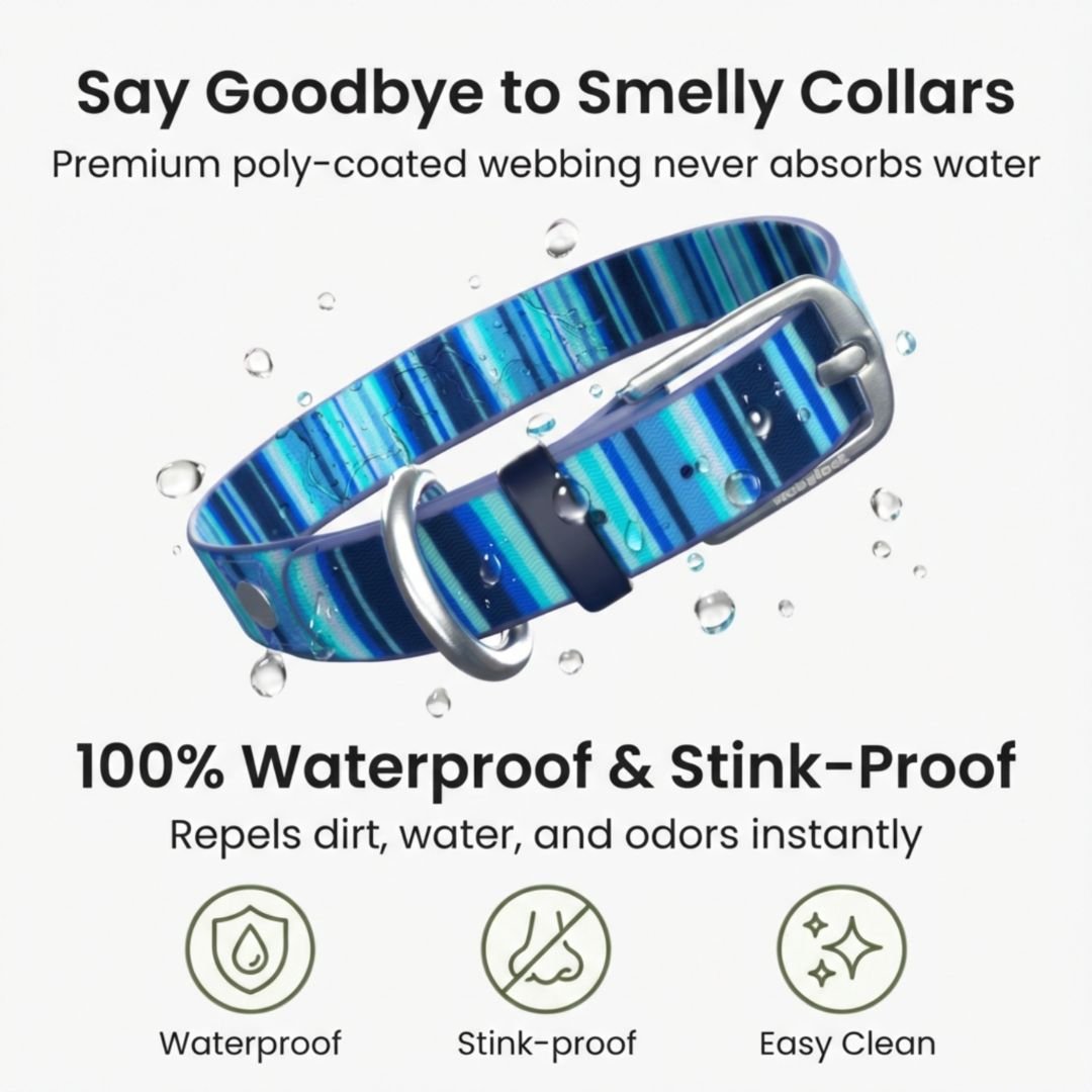 Waterproof Dog Collars – Washable Dog Collar, Stink-Proof & Durable Collar & Leashes - Lazy Paper Club